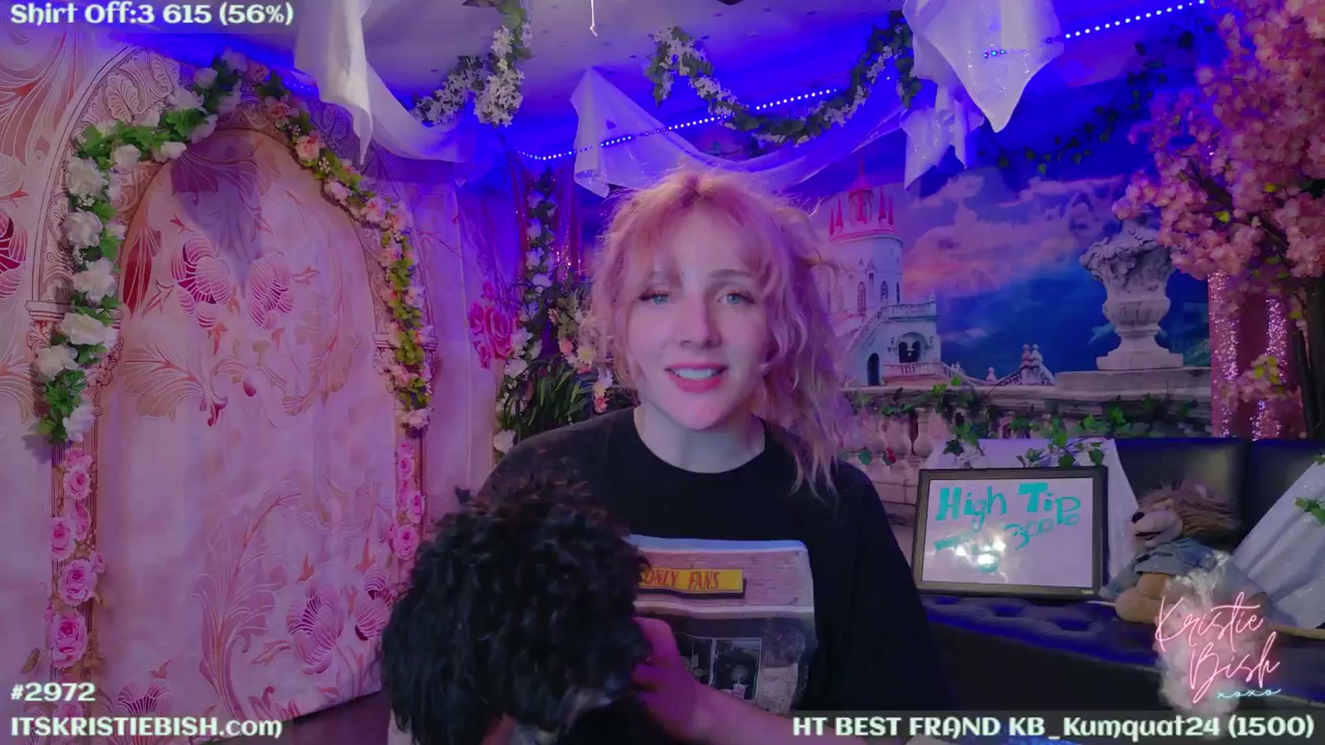 Gallery image thumbnail from KristieBish's myfreecams stream on, 06/24/2024, 06:07 image 13 of 20