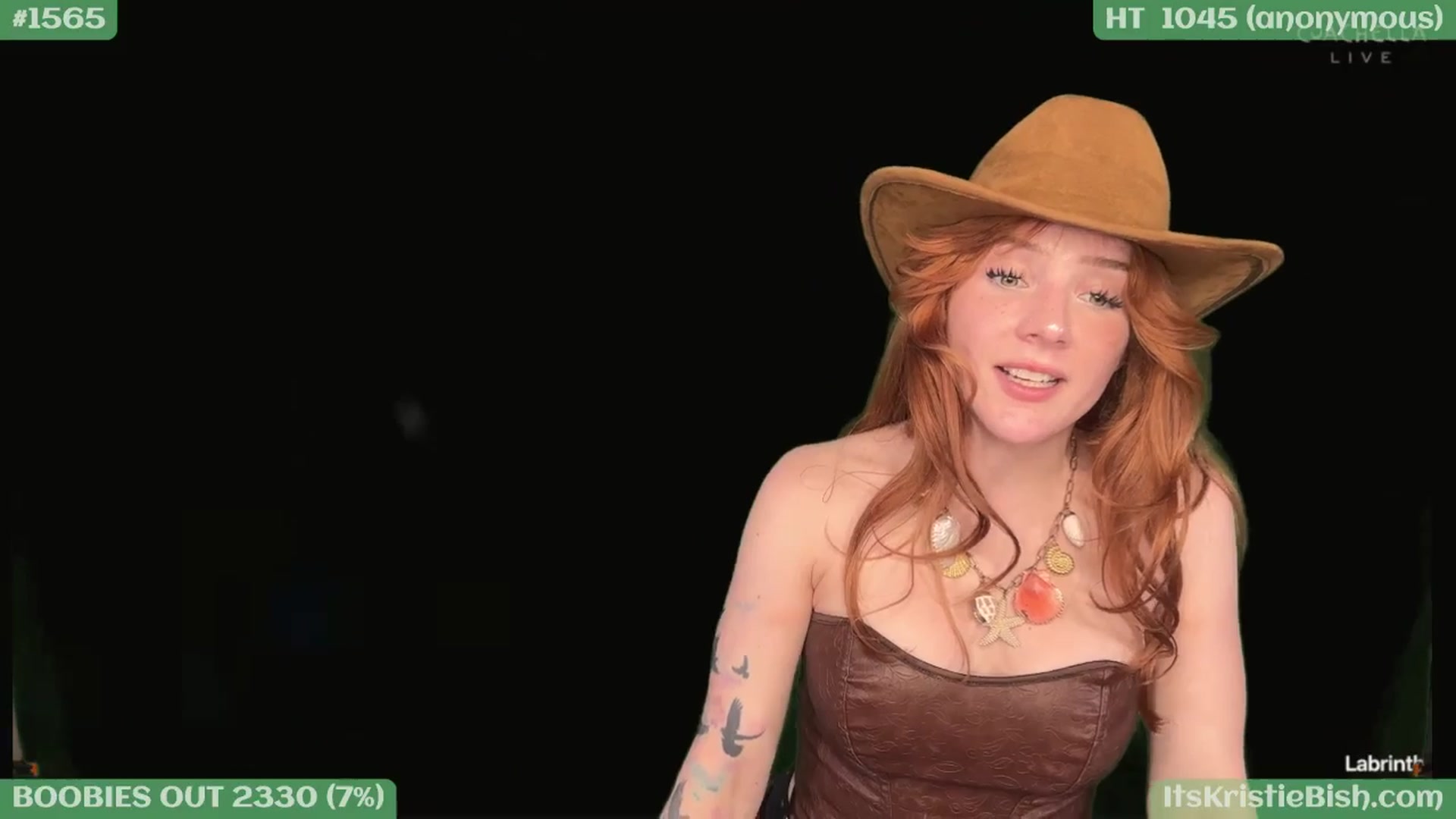 Gallery image thumbnail from KristieBish's myfreecams stream on, 04/12/2026, 04:32 image 7 of 20