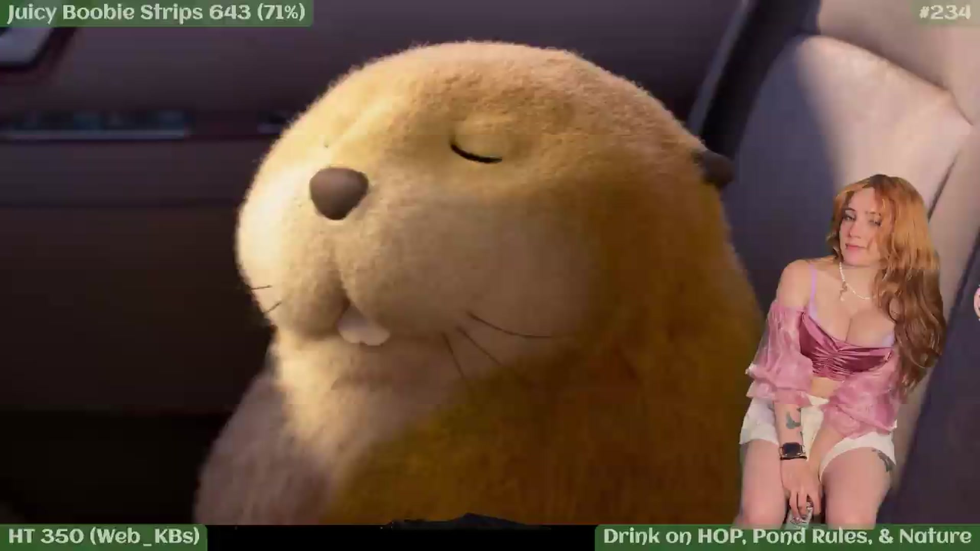 Gallery image thumbnail from KristieBish's myfreecams stream on, 05/09/2026, 03:19 image 15 of 20