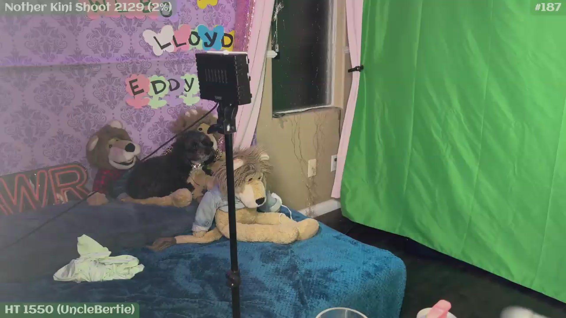 Gallery image thumbnail from KristieBish's myfreecams stream on, 05/16/2026, 05:43 image 16 of 20