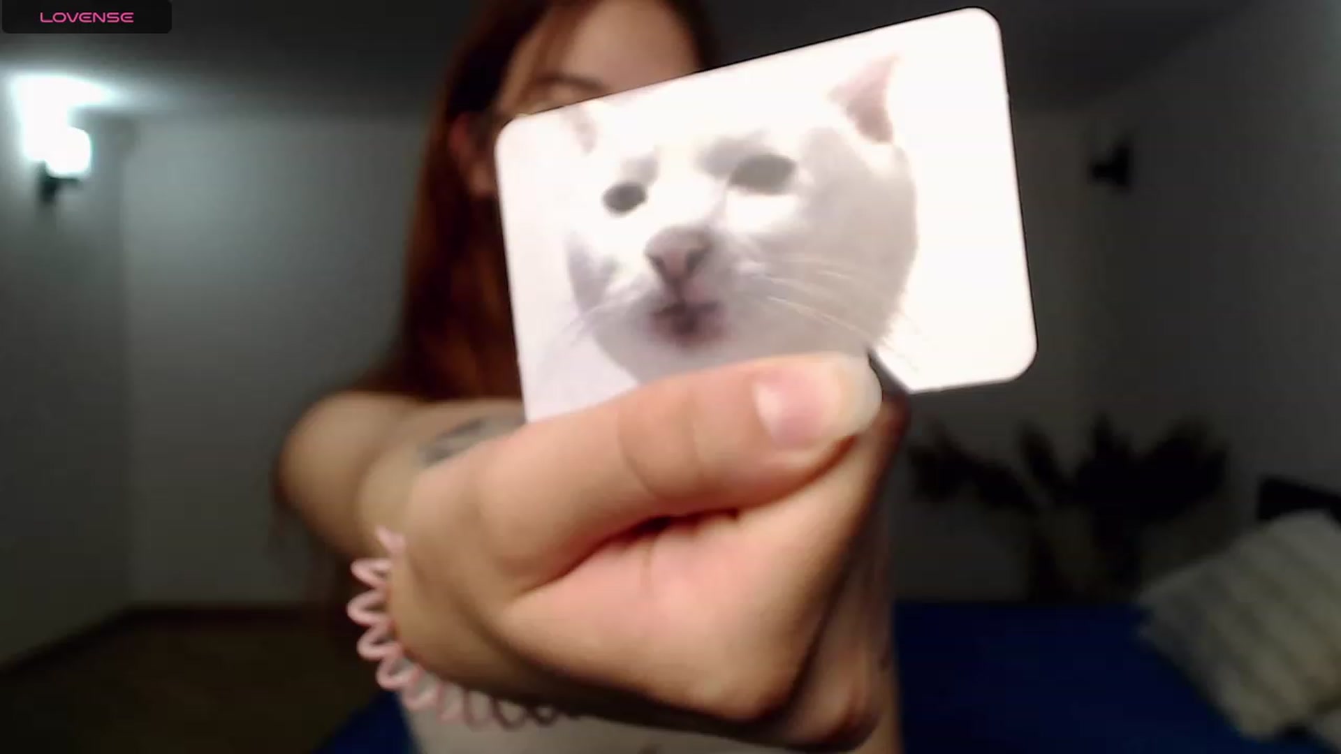 Gallery image thumbnail from KristinaRed's myfreecams stream on, 08/17/2023, 01:27 image 11 of 20