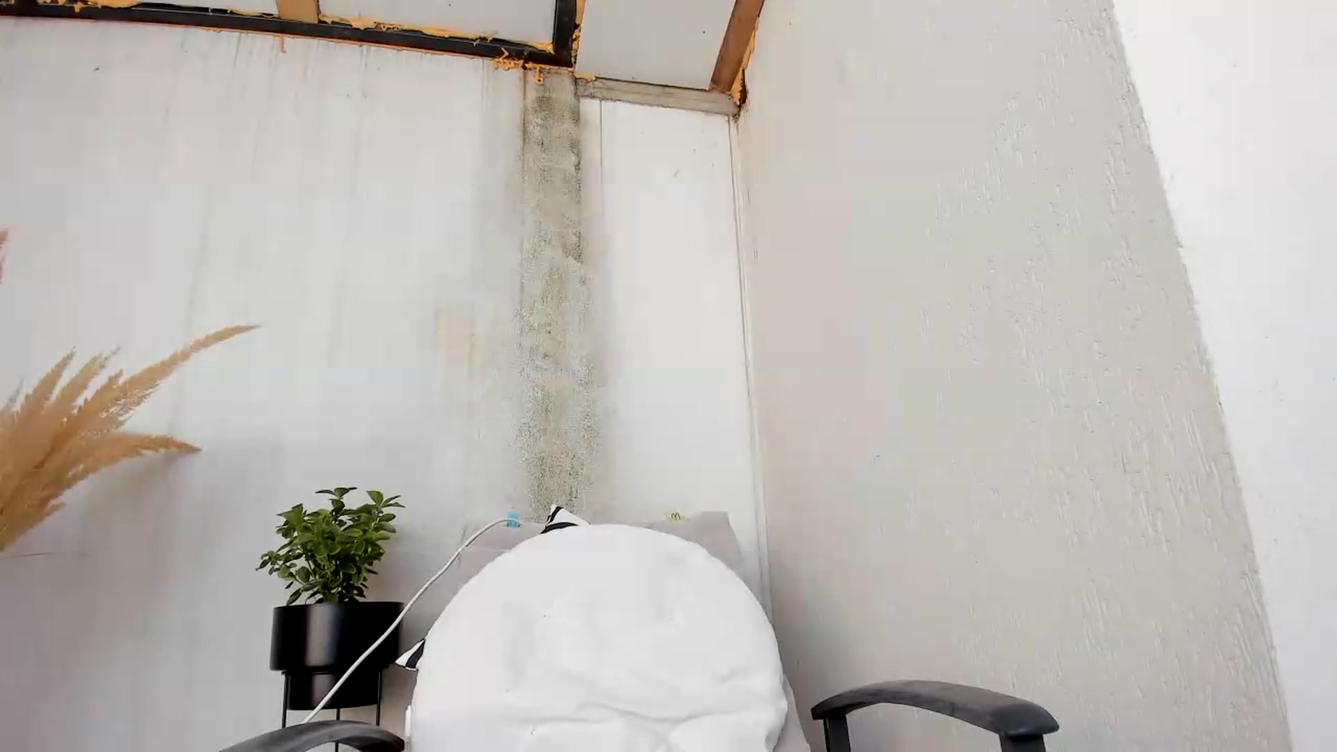 Gallery image thumbnail from Krys_'s myfreecams stream on, 08/12/2026, 08:24 image 9 of 20