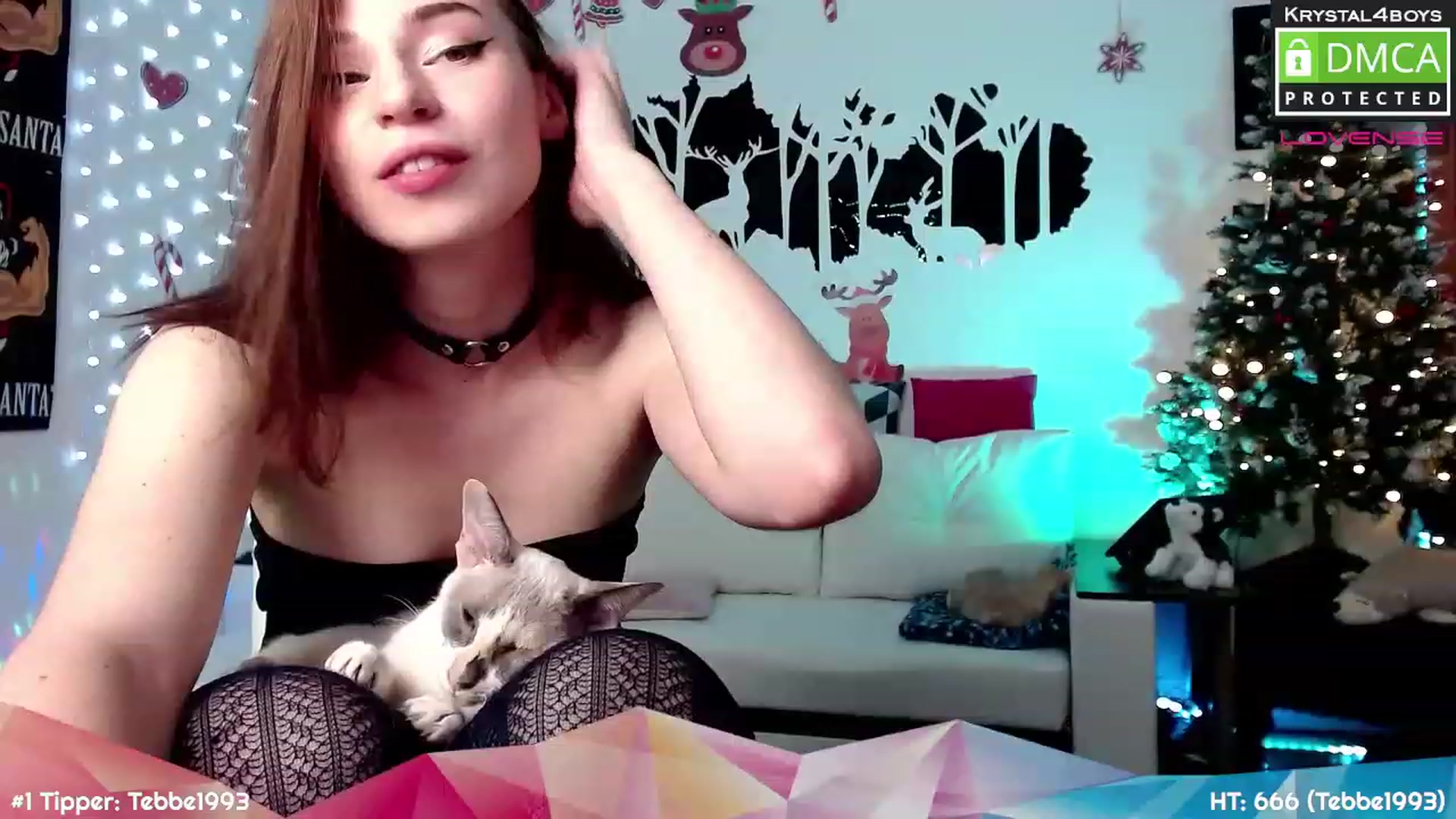 Gallery image thumbnail from Krystal4Boys's myfreecams stream on, 12/07/2022, 01:45 image 18 of 20