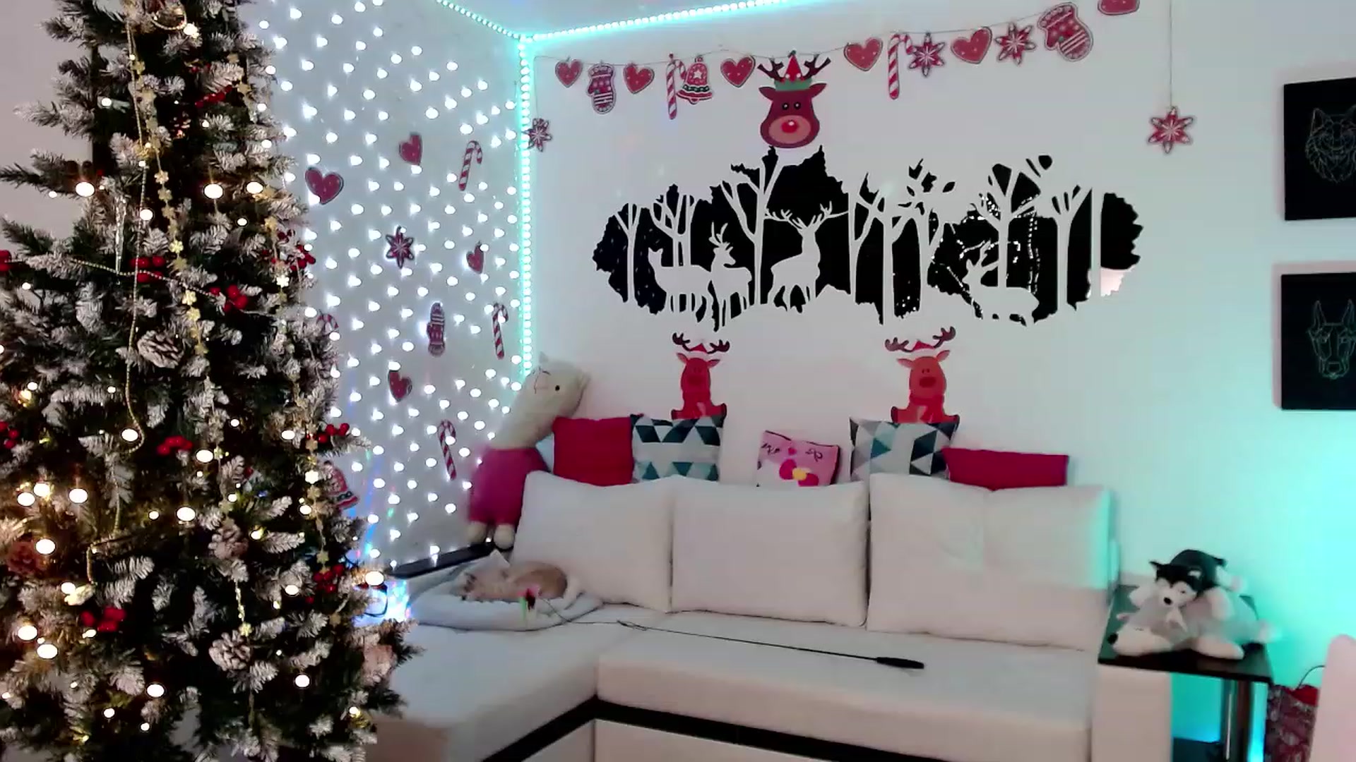Gallery image thumbnail from Krystal4Boys's myfreecams stream on, 12/17/2022, 02:43 image 12 of 20