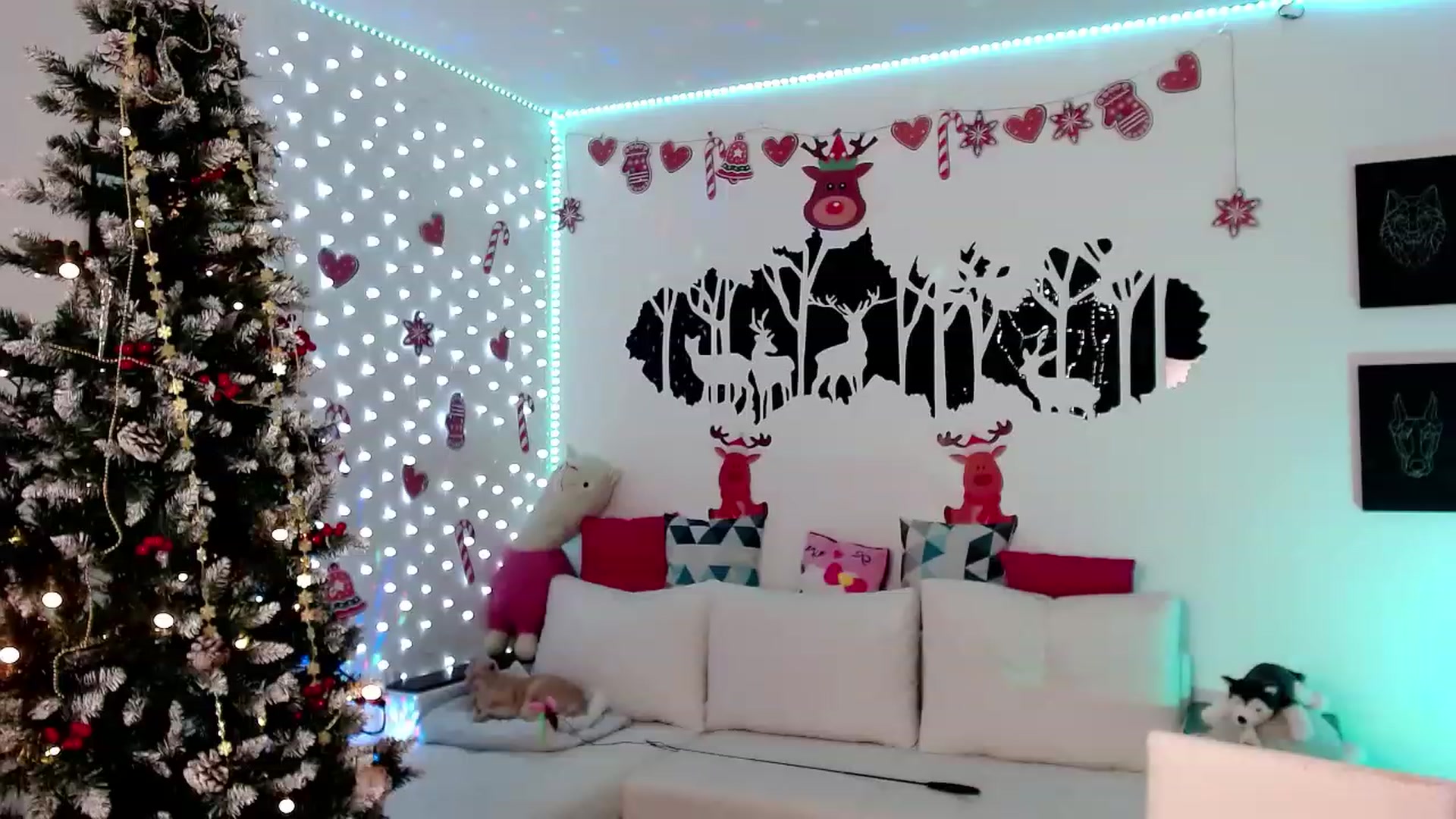 Gallery image thumbnail from Krystal4Boys's myfreecams stream on, 12/17/2022, 02:43 image 17 of 20