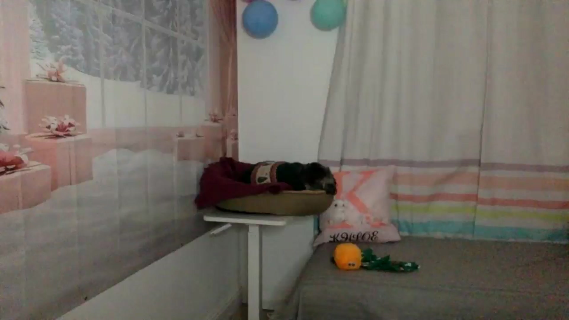 Gallery image thumbnail from Kurvy_Khloe's myfreecams stream on, 01/03/2026, 17:29 image 8 of 20
