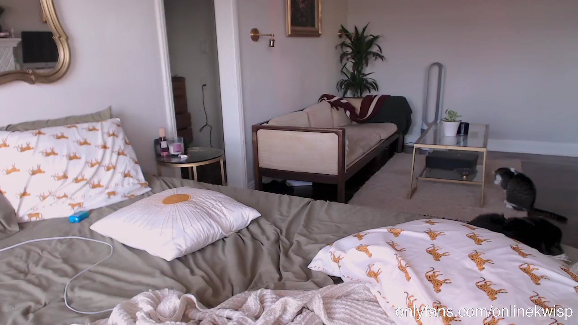Gallery image thumbnail from Kwispy_'s myfreecams stream on, 07/19/2024, 02:58 image 14 of 20