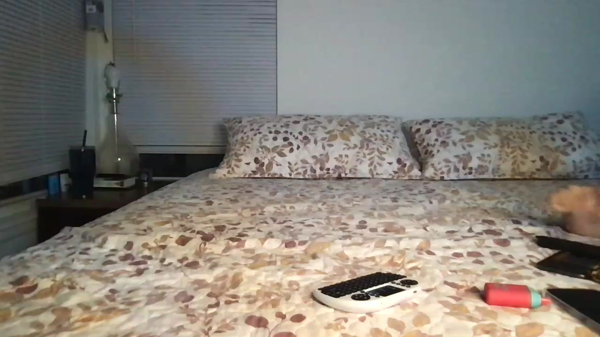 Gallery image thumbnail from Kyaloves's myfreecams stream on, 06/18/2023, 02:20 image 8 of 20