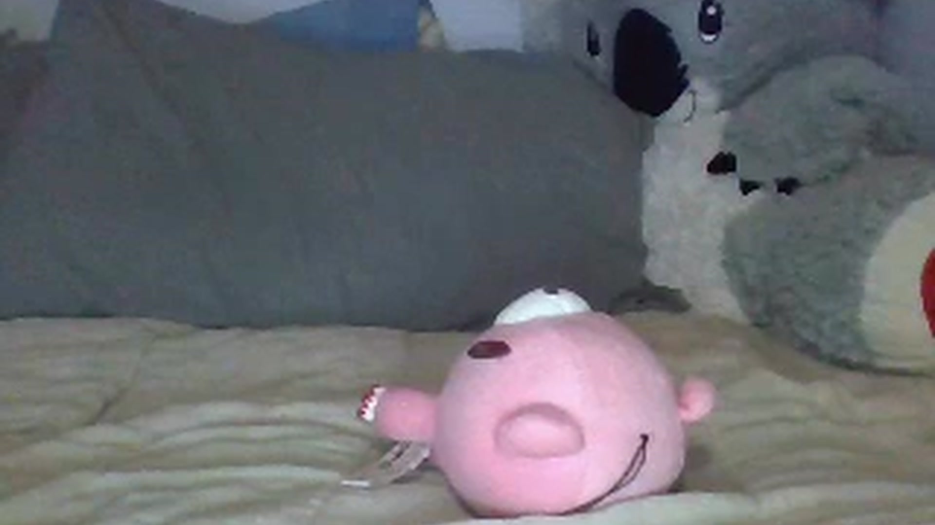 Gallery image thumbnail from Kyky_baby444's myfreecams stream on, 02/11/2025, 06:52 image 5 of 20