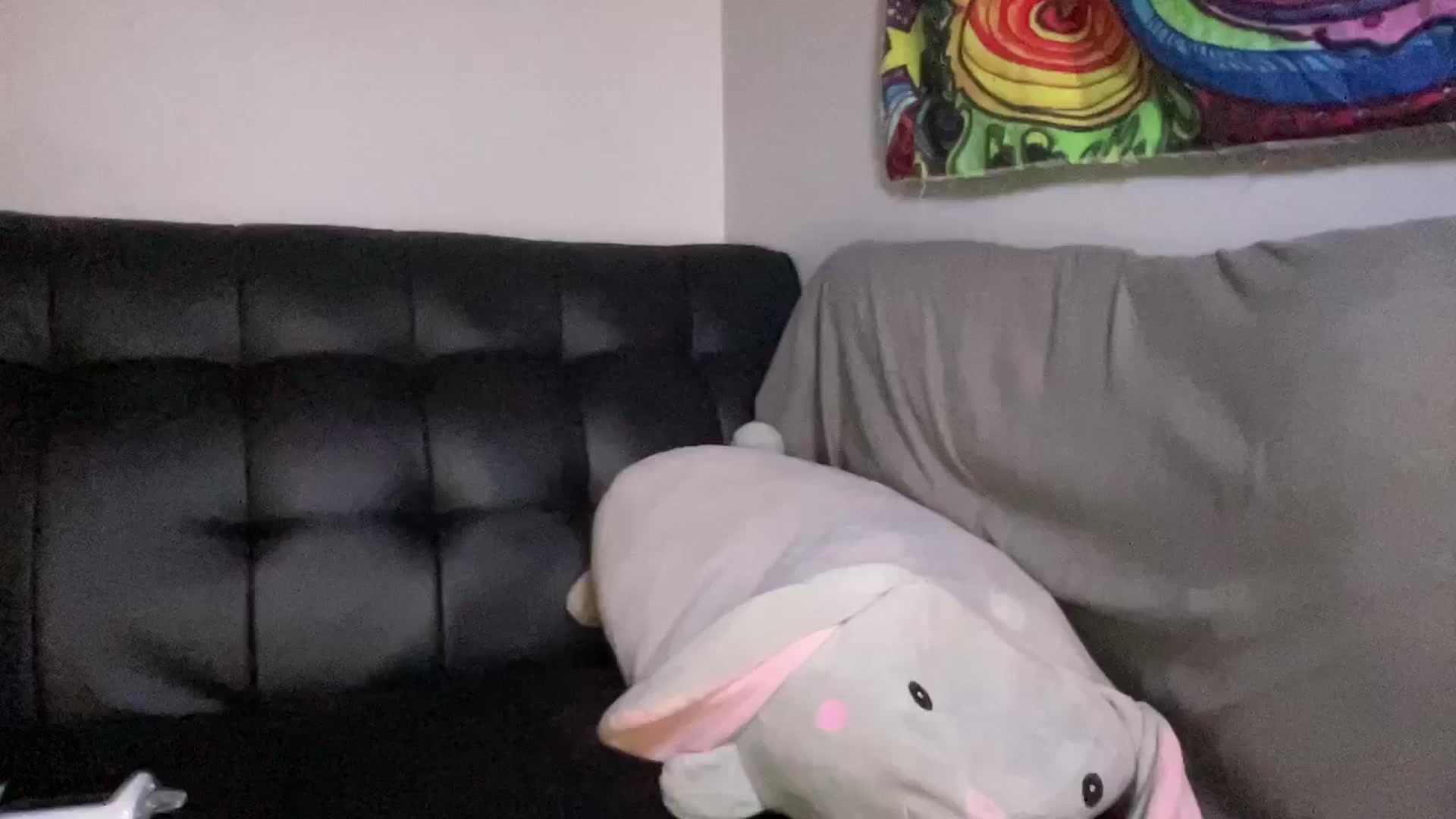 Gallery image thumbnail from Kyky_baby444's myfreecams stream on, 02/26/2025, 02:40 image 19 of 20
