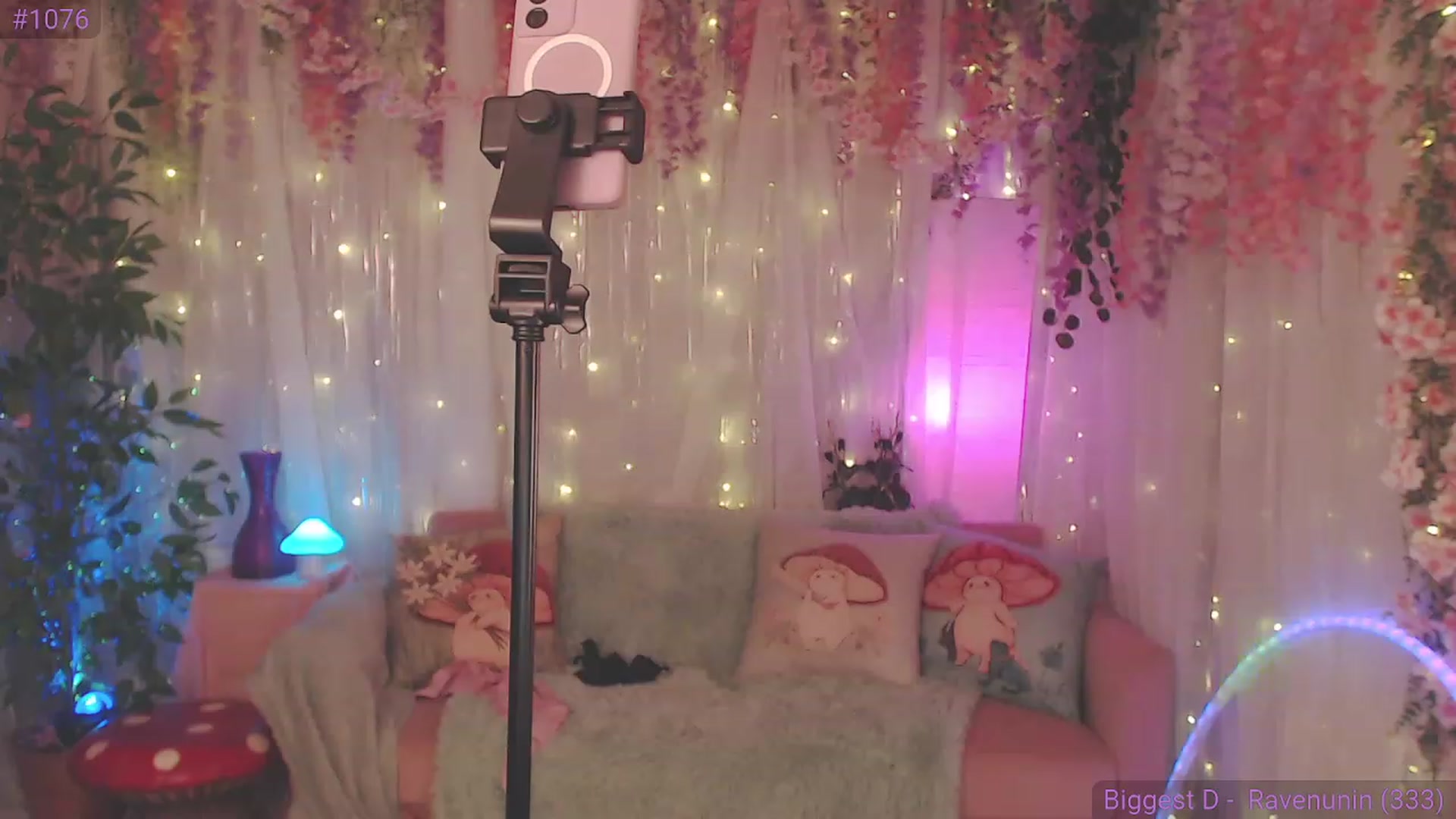Gallery image thumbnail from KylieKohl's myfreecams stream on, 04/05/2023, 03:43 image 3 of 20