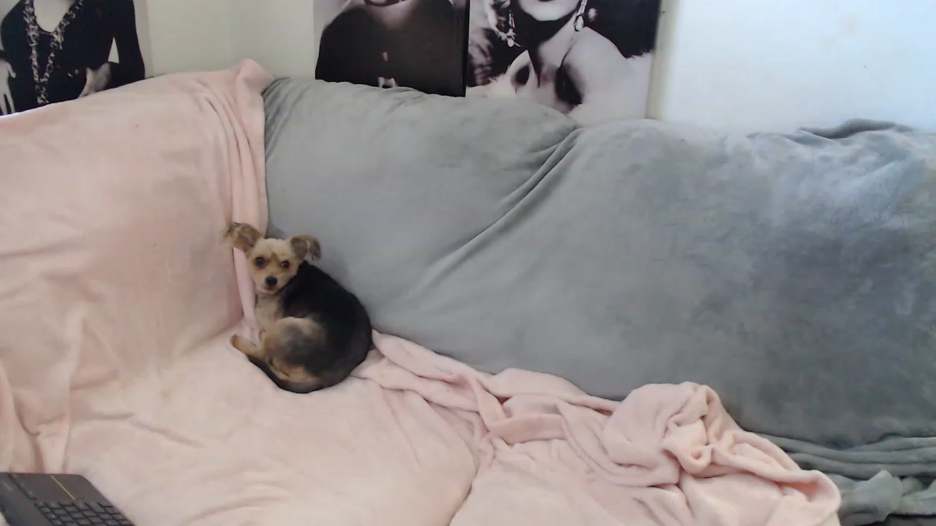 Gallery image thumbnail from Kylie_McFly's myfreecams stream on, 03/02/2023, 14:50 image 3 of 20