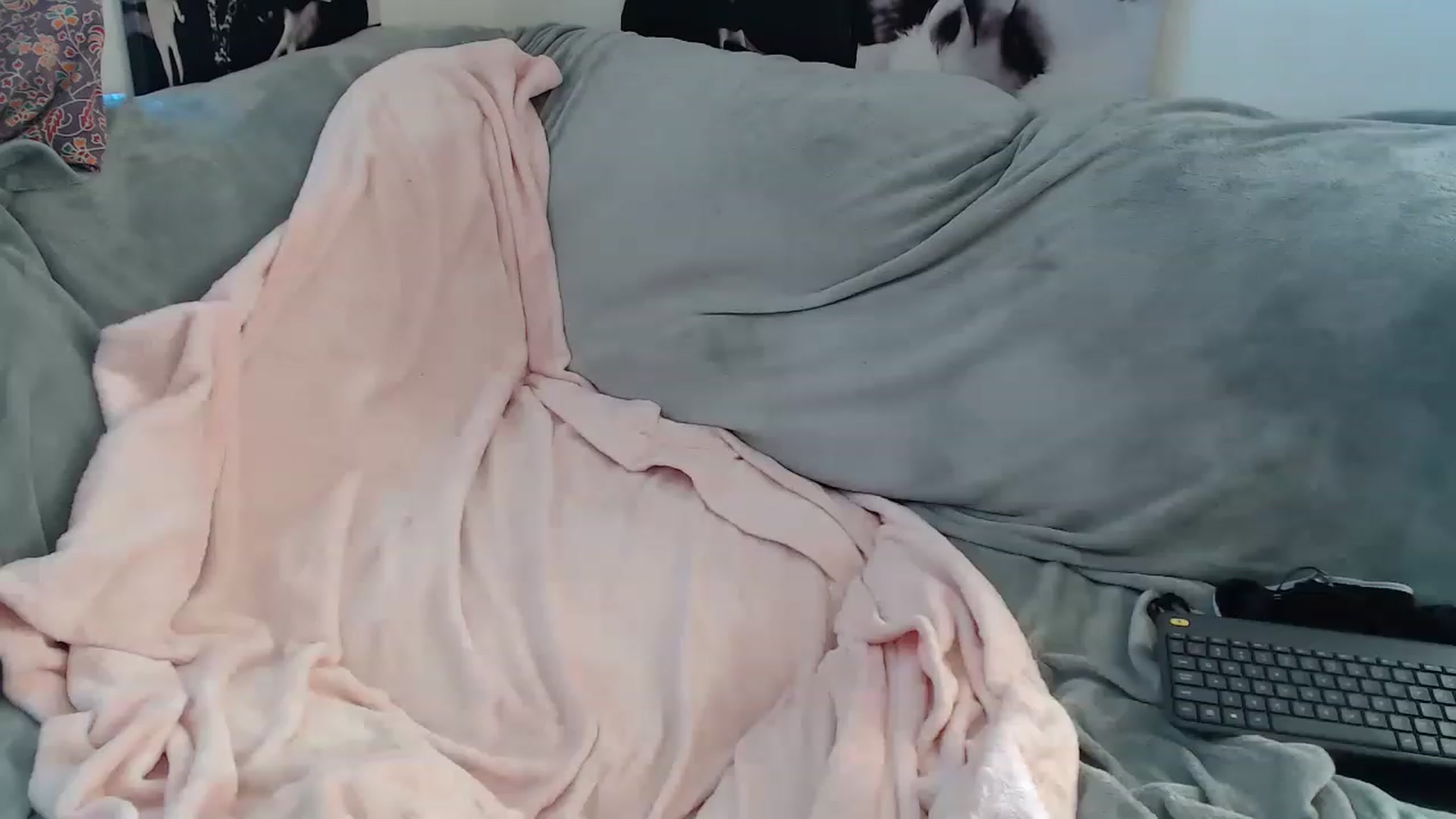 Gallery image thumbnail from Kylie_McFly's myfreecams stream on, 03/02/2023, 14:50 image 15 of 20
