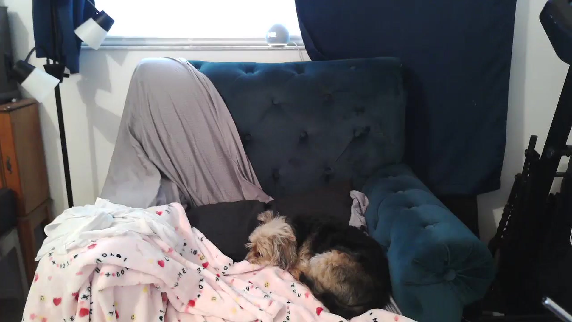 Gallery image thumbnail from Kylie_McFly's myfreecams stream on, 03/31/2025, 12:33 image 2 of 20