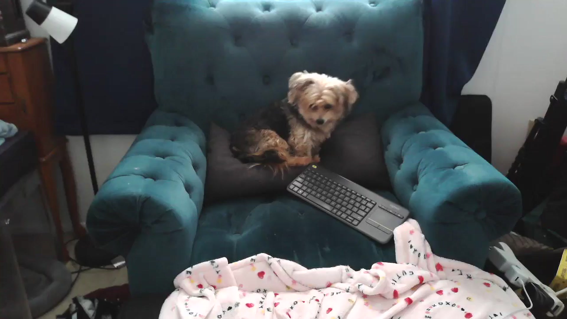 Gallery image thumbnail from Kylie_McFly's myfreecams stream on, 04/14/2025, 16:23 image 1 of 20