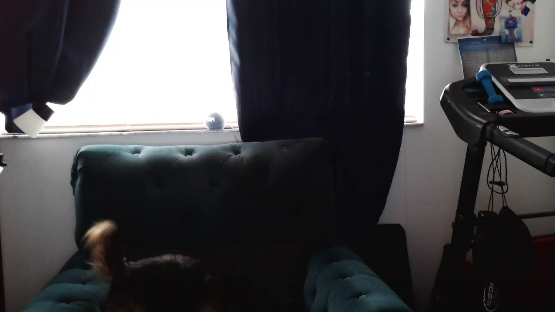 Gallery image thumbnail from Kylie_McFly's myfreecams stream on, 04/16/2025, 13:17 image 1 of 20