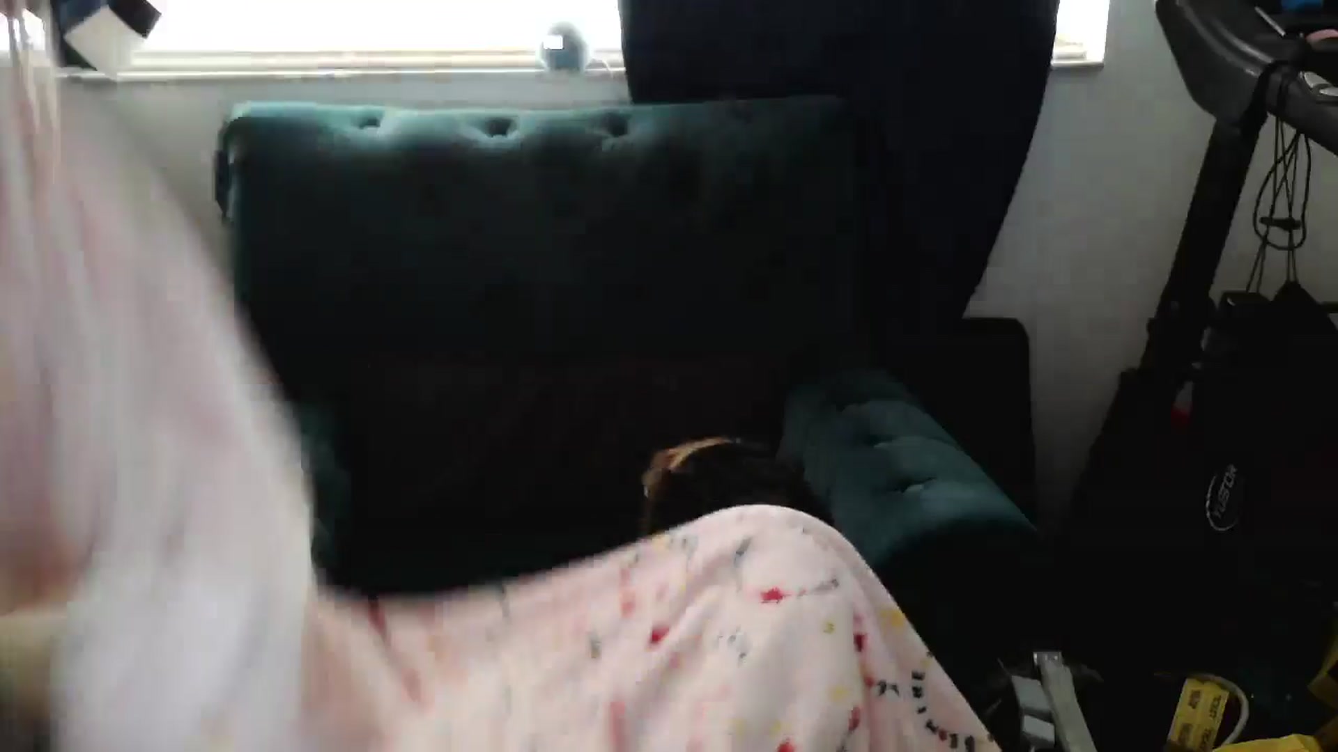 Gallery image thumbnail from Kylie_McFly's myfreecams stream on, 04/16/2025, 13:17 image 2 of 20