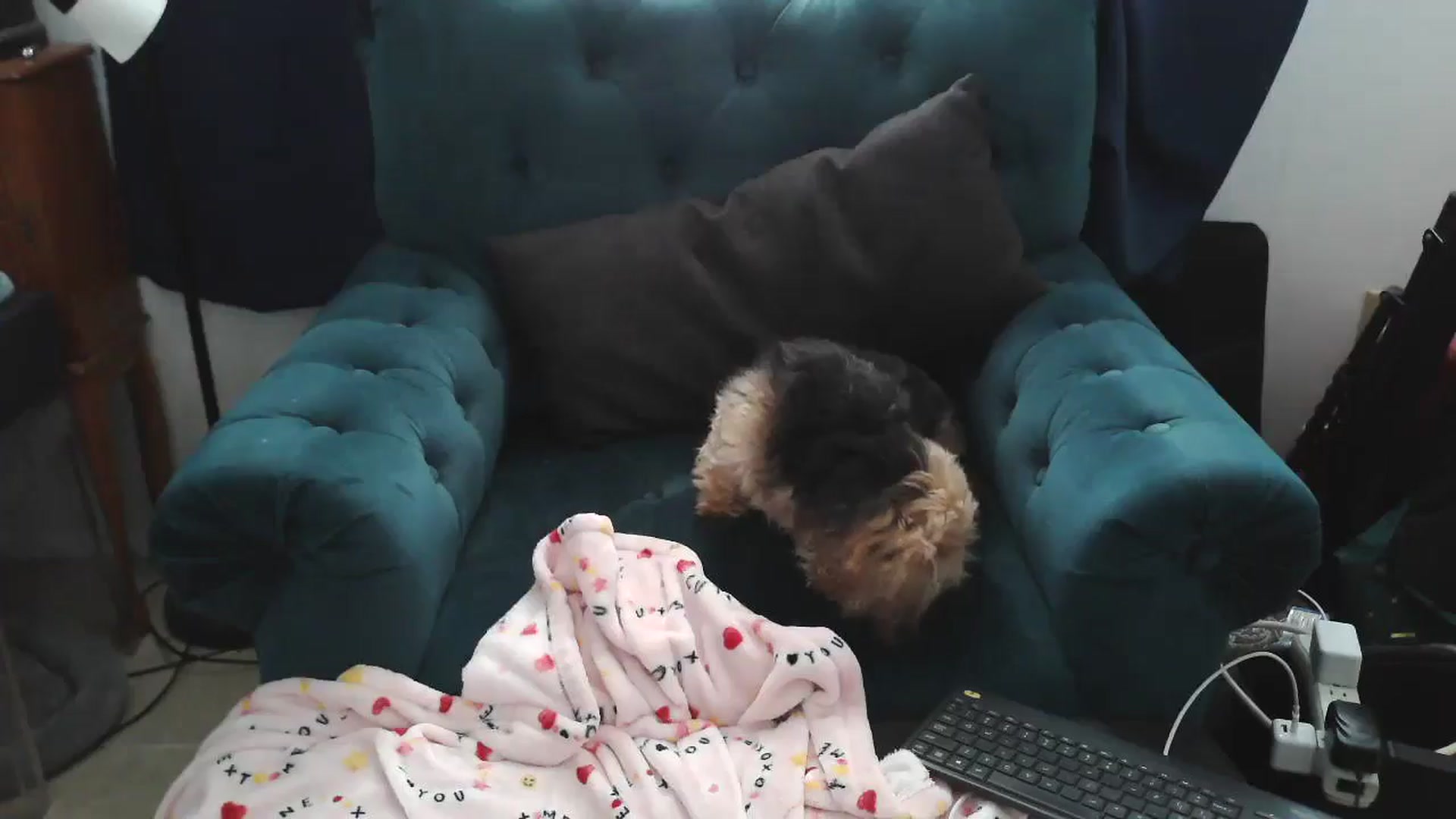 Gallery image thumbnail from Kylie_McFly's myfreecams stream on, 04/19/2025, 17:28 image 13 of 20