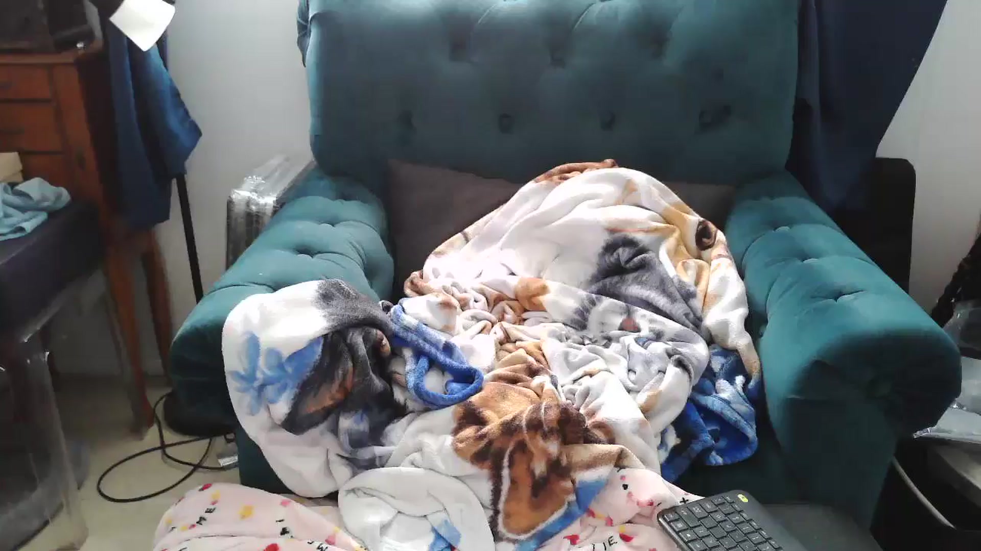 Gallery image thumbnail from Kylie_McFly's myfreecams stream on, 04/22/2025, 17:31 image 14 of 20