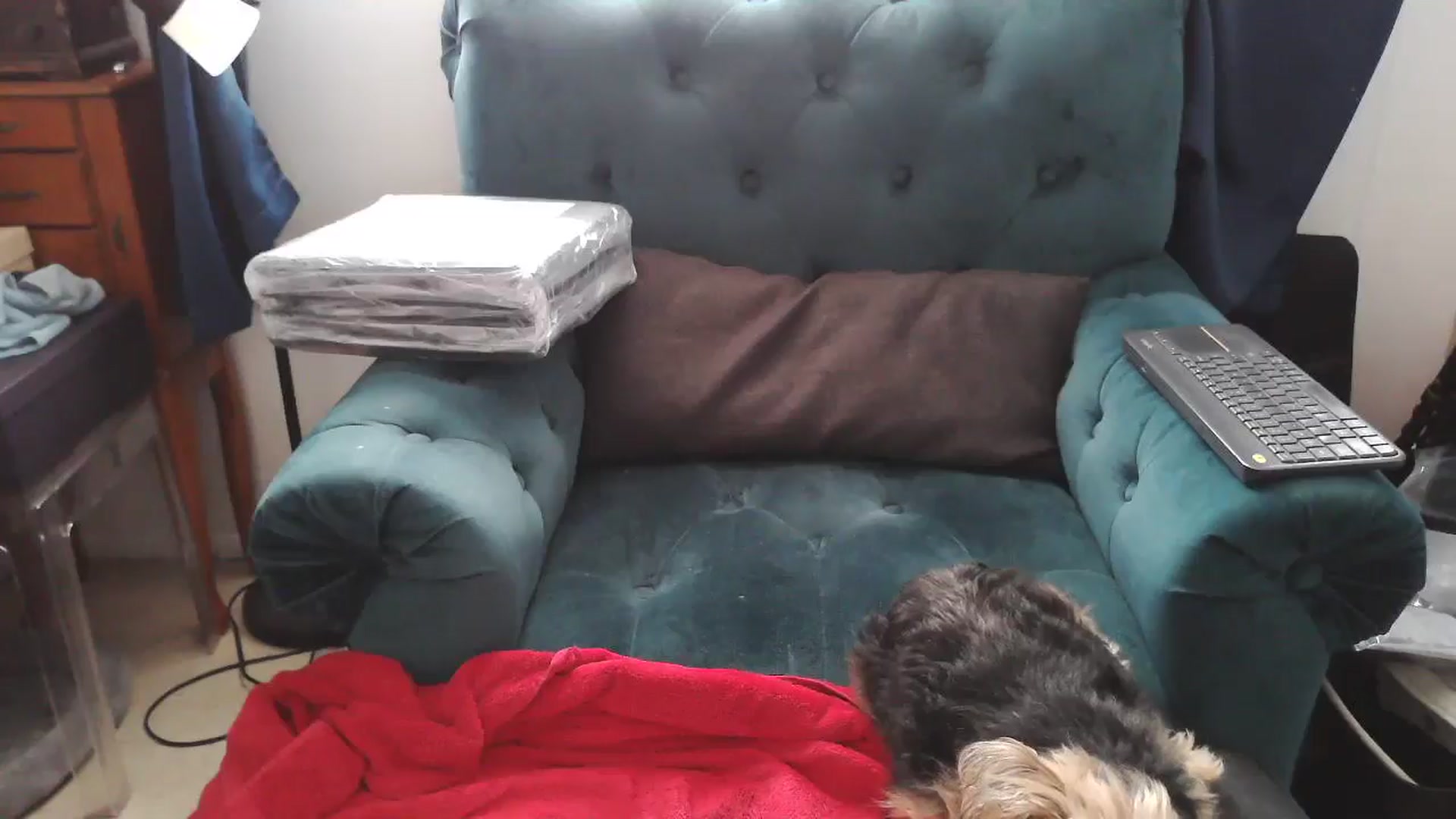 Gallery image thumbnail from Kylie_McFly's myfreecams stream on, 04/22/2025, 17:31 image 4 of 20
