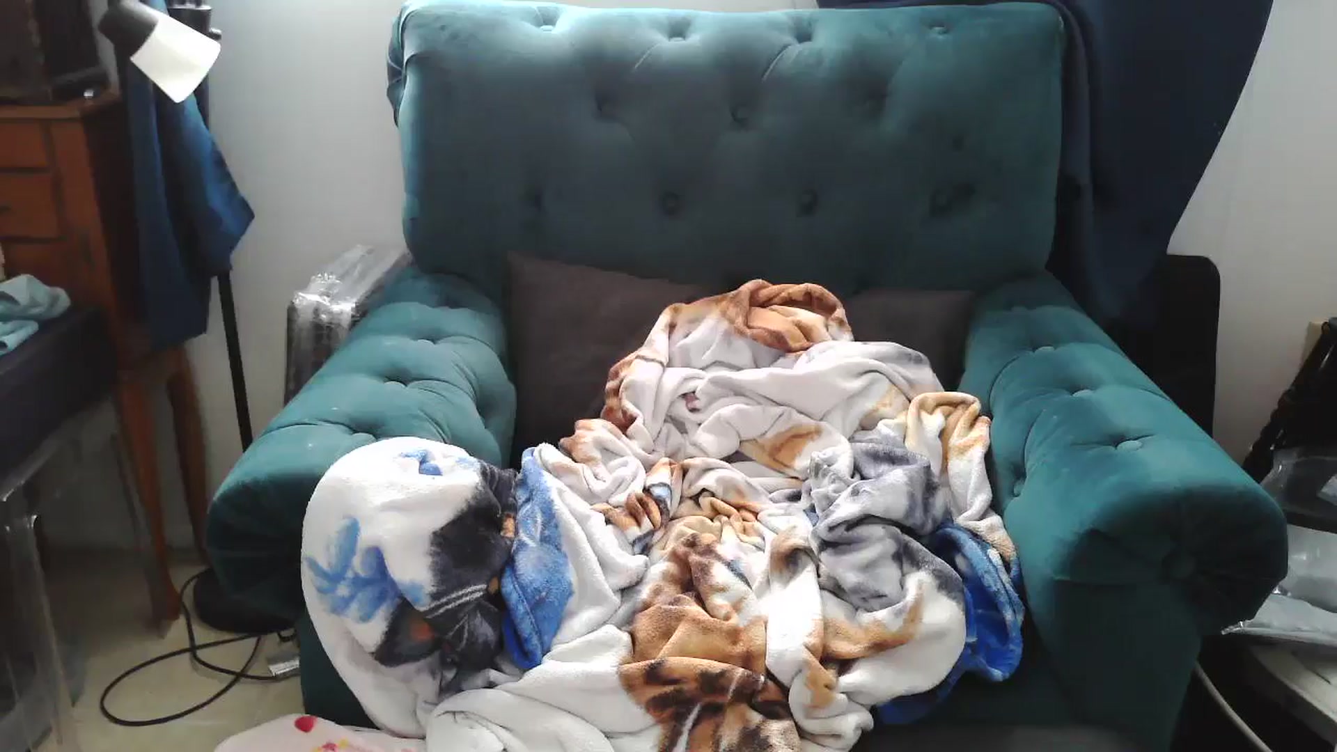 Gallery image thumbnail from Kylie_McFly's myfreecams stream on, 04/22/2025, 17:31 image 19 of 20