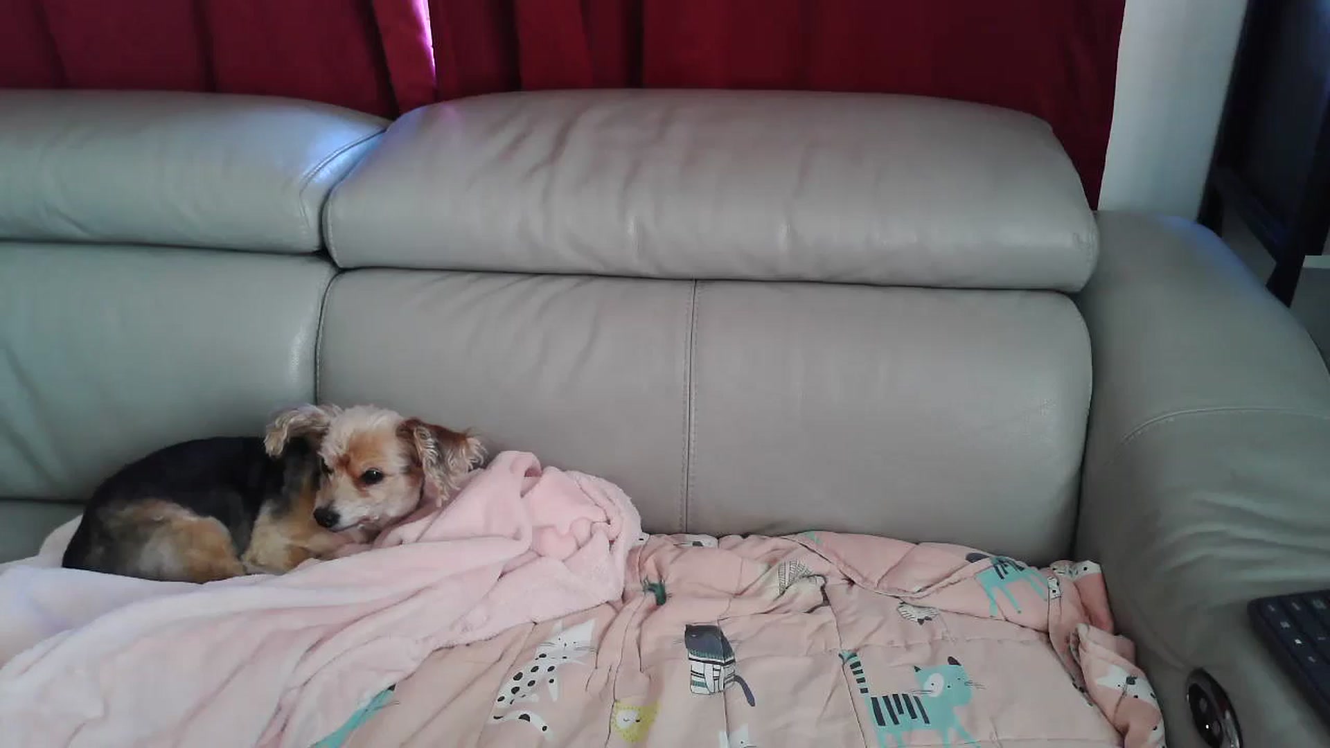 Gallery image thumbnail from Kylie_McFly's myfreecams stream on, 05/05/2025, 13:10 image 11 of 20