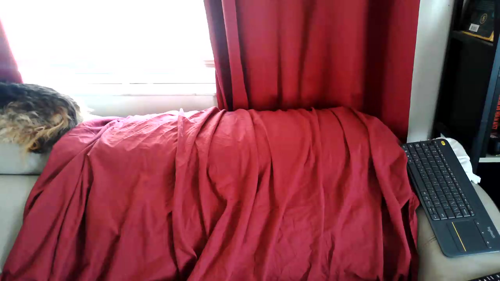 Gallery image thumbnail from Kylie_McFly's myfreecams stream on, 05/24/2026, 17:36 image 5 of 20