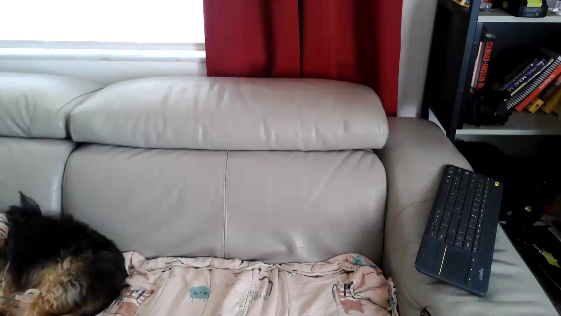 Gallery image thumbnail from Kylie_McFly's myfreecams stream on, 06/22/2026, 17:28 image 6 of 20