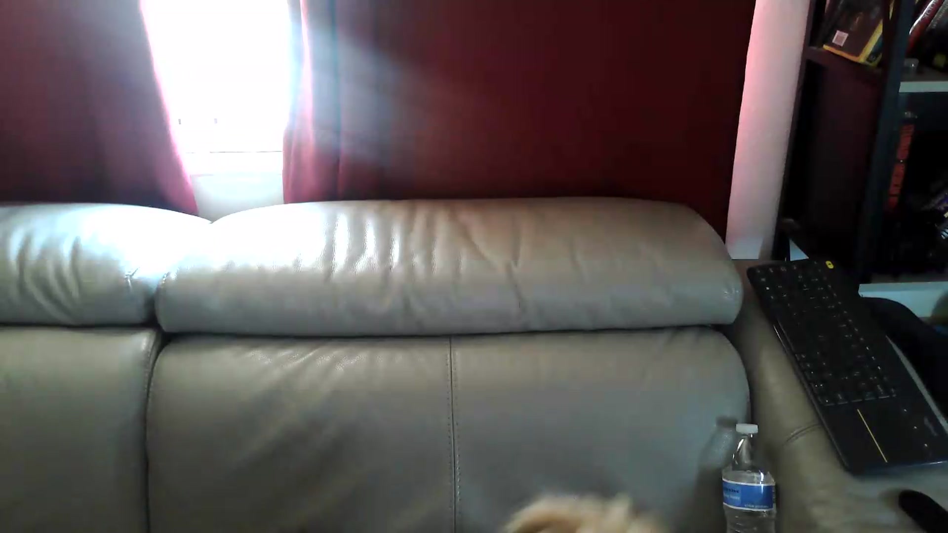 Gallery image thumbnail from Kylie_McFly's myfreecams stream on, 06/24/2026, 18:12 image 11 of 20