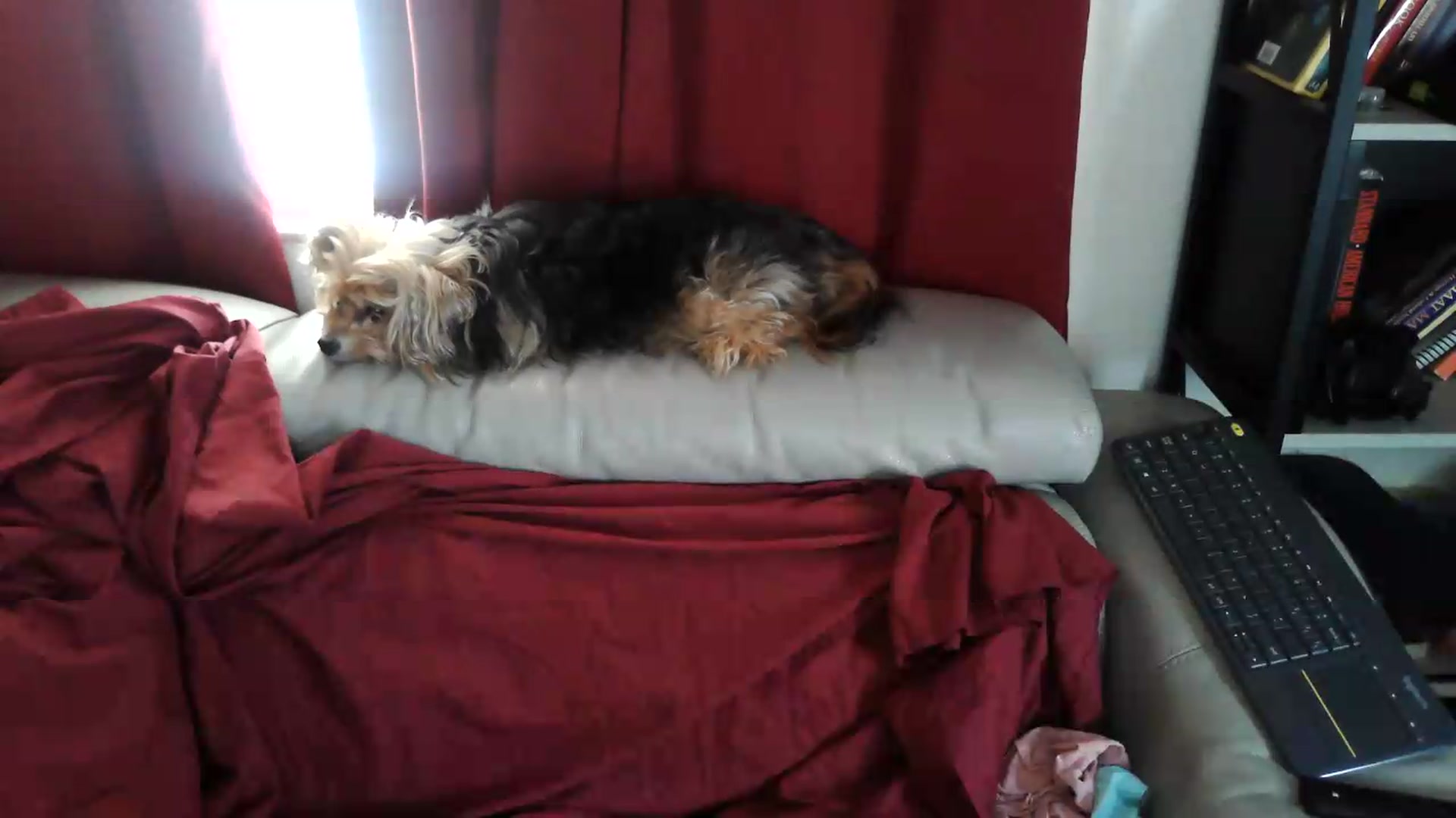 Gallery image thumbnail from Kylie_McFly's myfreecams stream on, 06/30/2026, 16:44 image 2 of 20