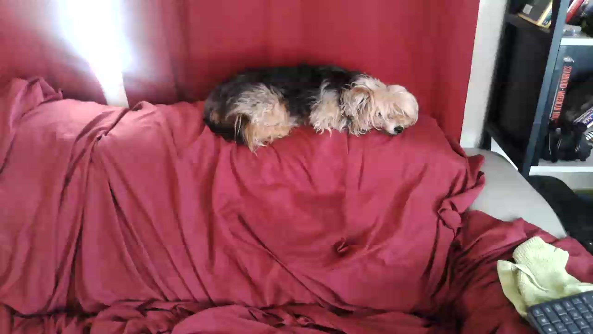 Gallery image thumbnail from Kylie_McFly's myfreecams stream on, 07/02/2026, 13:07 image 1 of 20