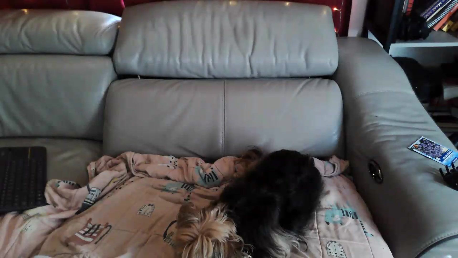 Gallery image thumbnail from Kylie_McFly's myfreecams stream on, 07/06/2026, 17:21 image 2 of 20