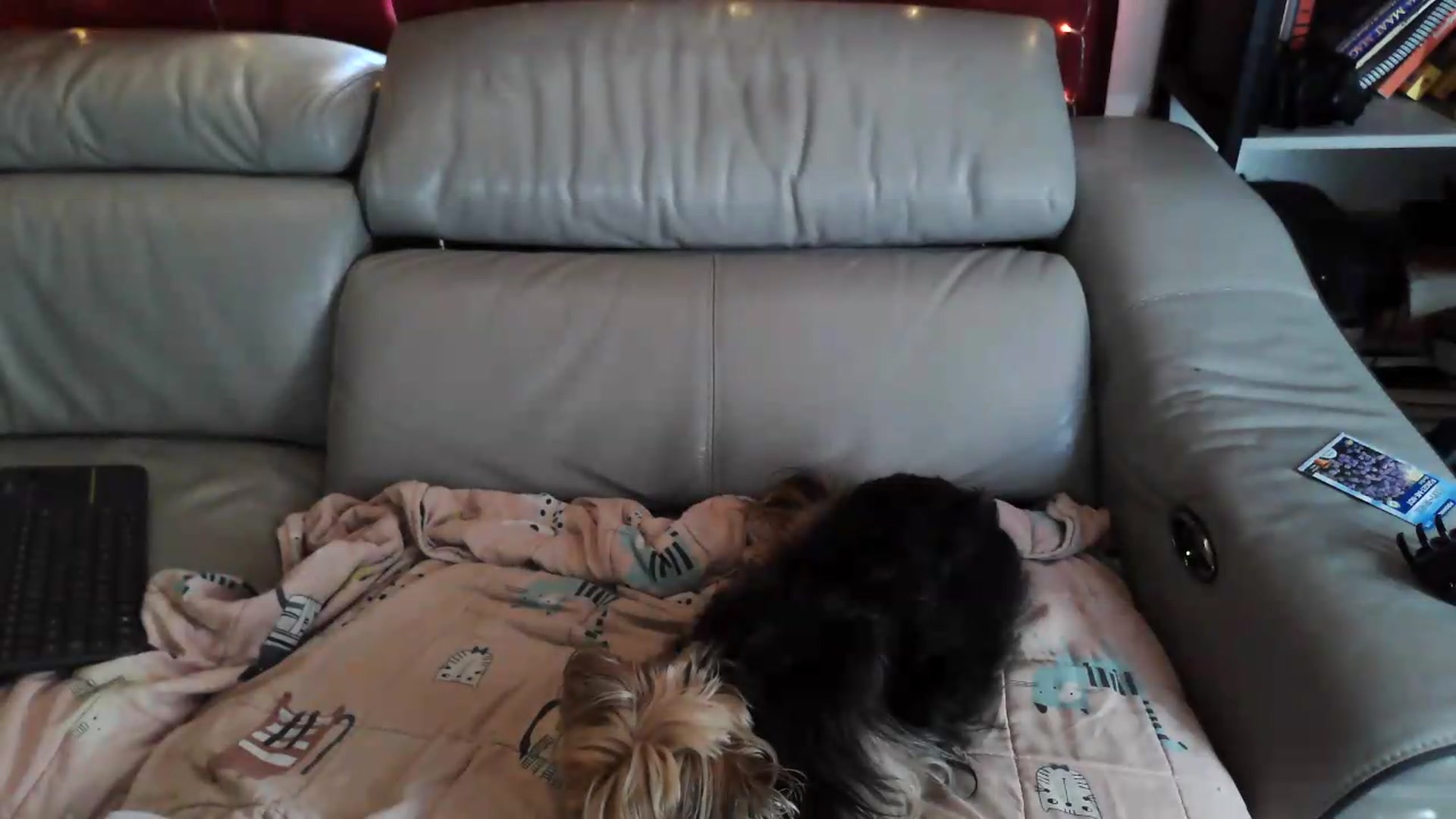 Gallery image thumbnail from Kylie_McFly's myfreecams stream on, 07/06/2026, 17:21 image 3 of 20