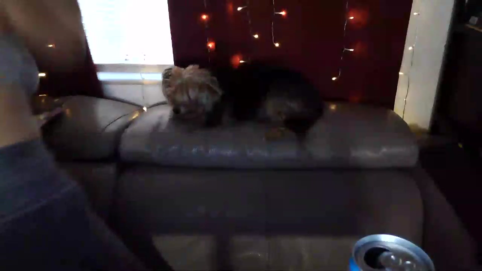 Gallery image thumbnail from Kylie_McFly's myfreecams stream on, 07/10/2026, 11:09 image 7 of 20