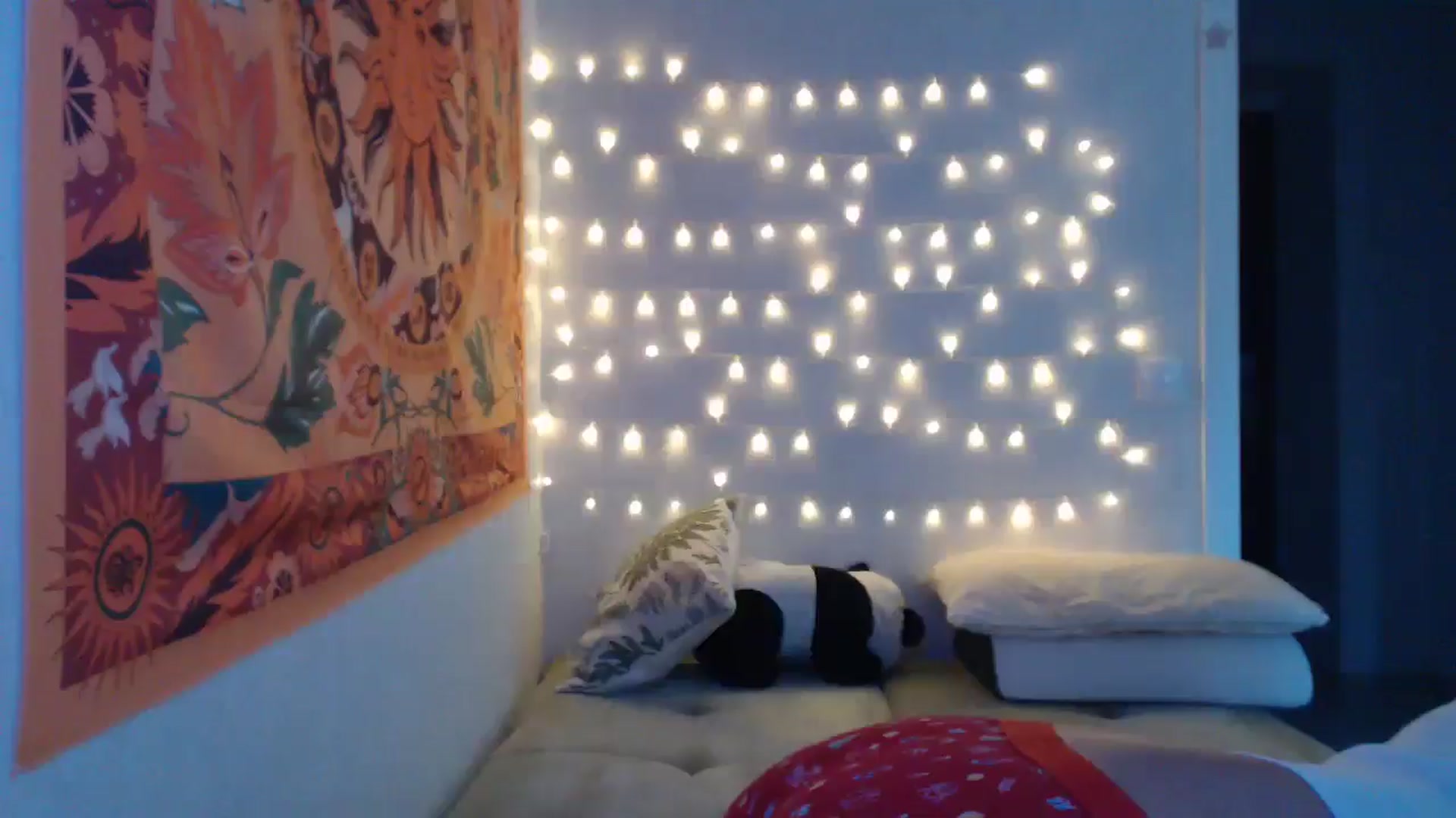 Gallery image thumbnail from Kylie_X's myfreecams stream on, 12/20/2024, 10:19 image 6 of 20