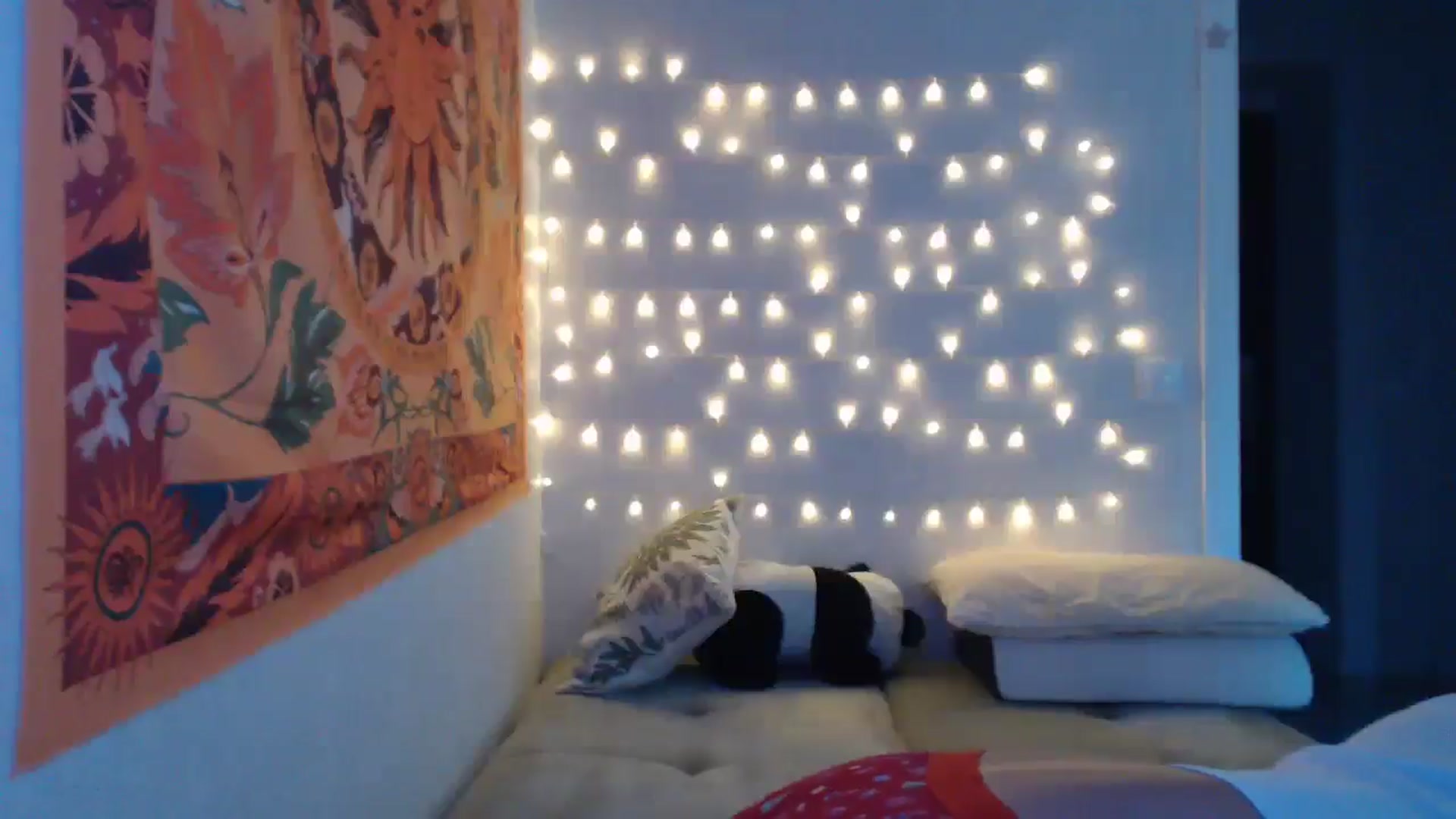 Gallery image thumbnail from Kylie_X's myfreecams stream on, 12/20/2024, 10:19 image 7 of 20
