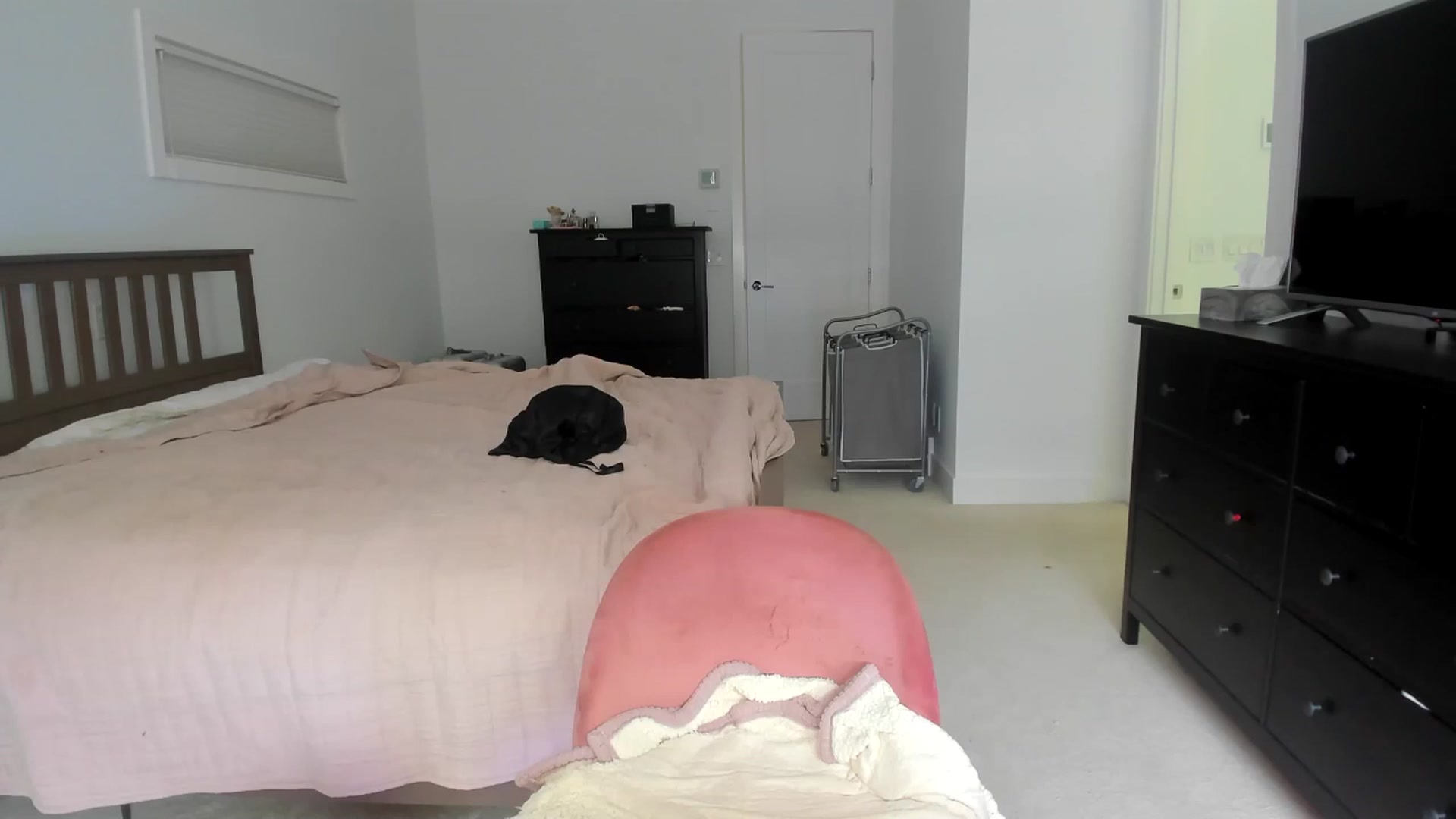 Gallery image thumbnail from Kymmmy's myfreecams stream on, 05/17/2024, 21:01 image 8 of 20