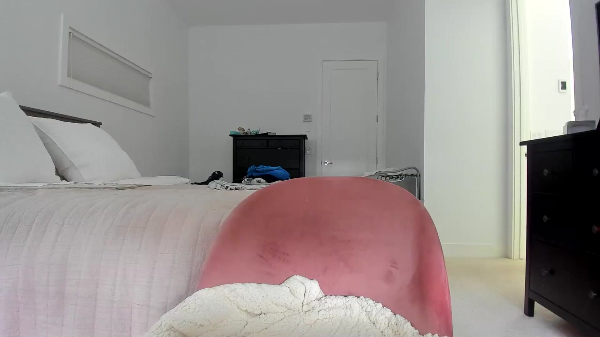 Gallery image thumbnail from Kymmmy's myfreecams stream on, 06/01/2024, 23:42 image 13 of 20