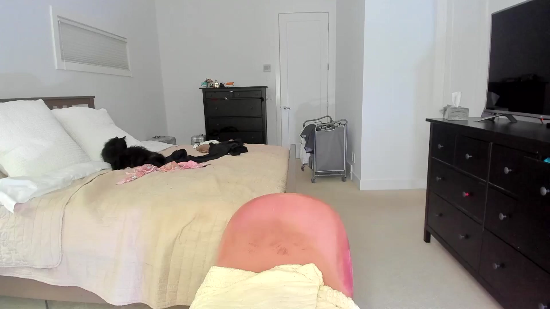 Gallery image thumbnail from Kymmmy's myfreecams stream on, 06/11/2024, 23:37 image 4 of 20