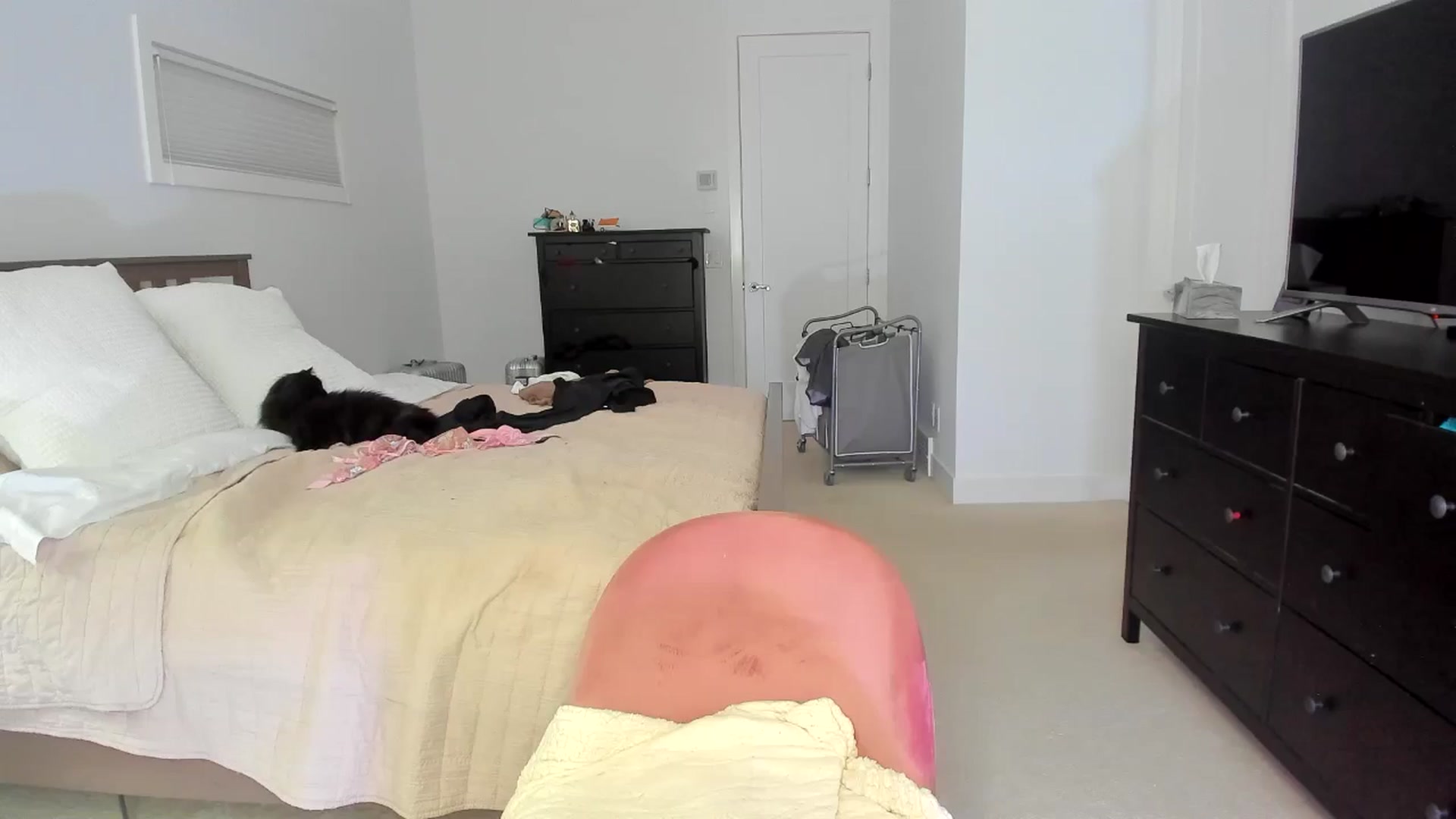 Gallery image thumbnail from Kymmmy's myfreecams stream on, 06/11/2024, 23:37 image 5 of 20
