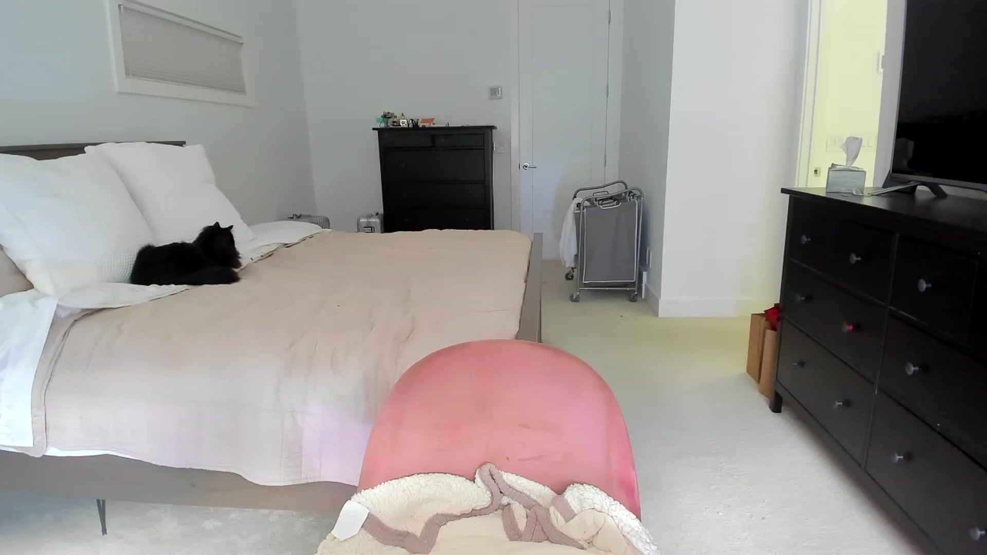 Gallery image thumbnail from Kymmmy's myfreecams stream on, 06/18/2024, 21:34 image 1 of 20