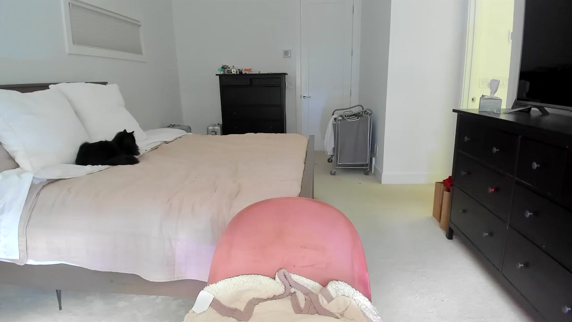 Gallery image thumbnail from Kymmmy's myfreecams stream on, 06/18/2024, 21:34 image 2 of 20