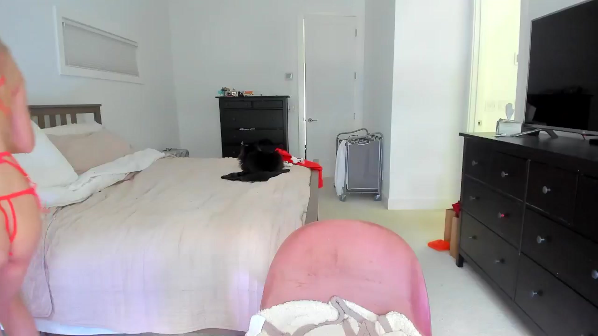 Gallery image thumbnail from Kymmmy's myfreecams stream on, 06/23/2024, 18:09 image 7 of 20