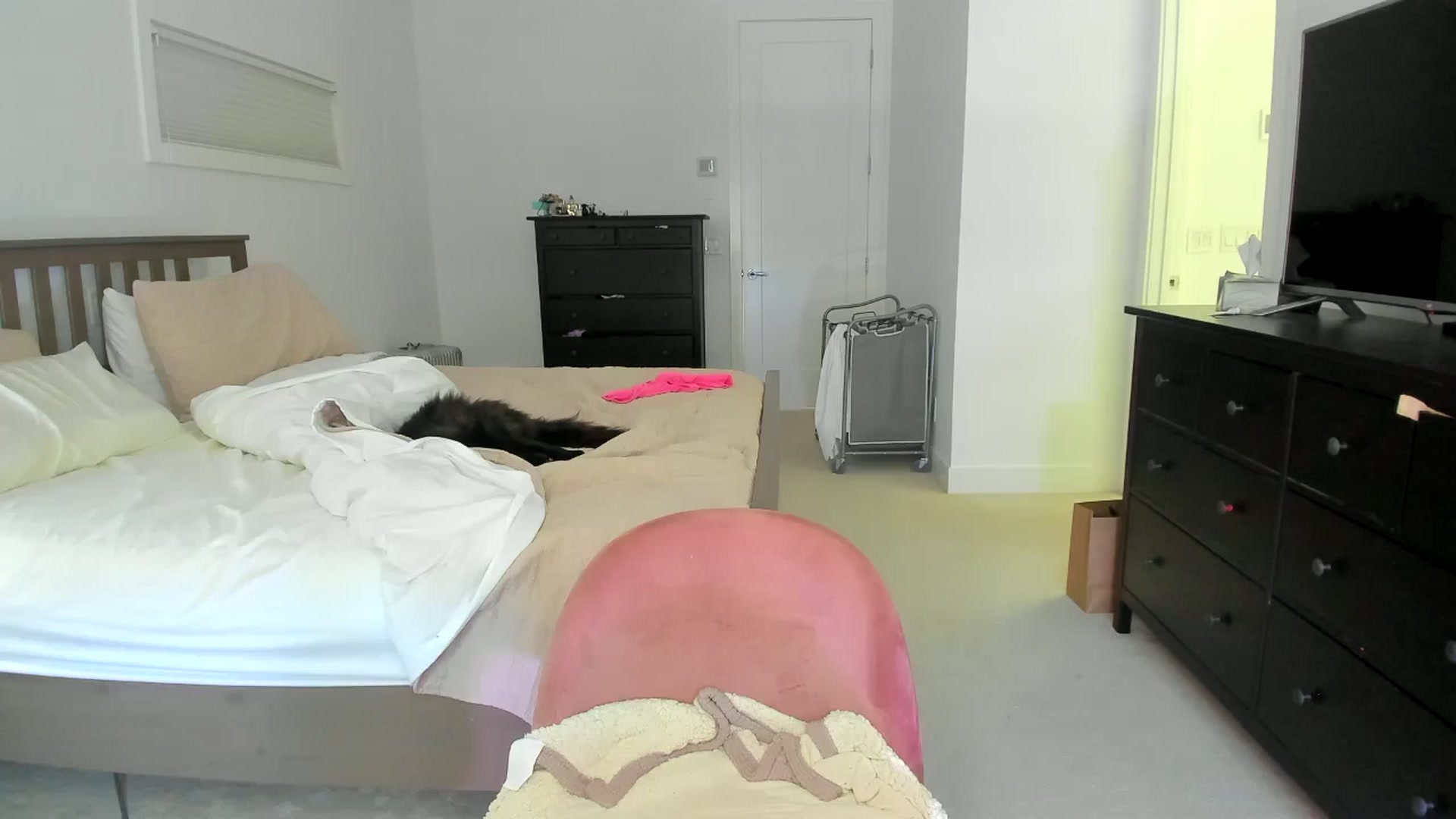 Gallery image thumbnail from Kymmmy's myfreecams stream on, 06/24/2024, 18:59 image 12 of 20