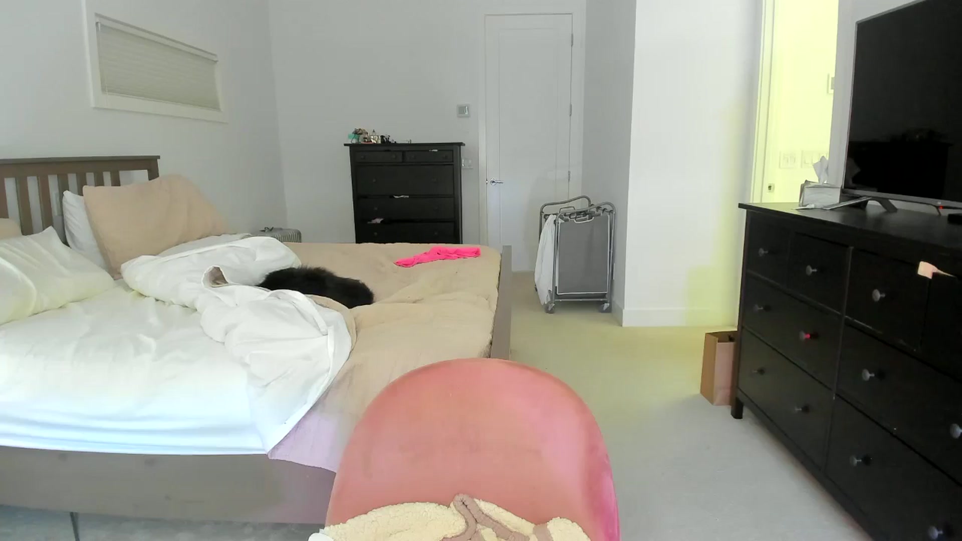 Gallery image thumbnail from Kymmmy's myfreecams stream on, 06/24/2024, 18:59 image 17 of 20