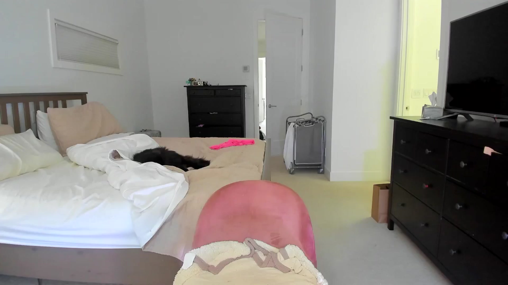 Gallery image thumbnail from Kymmmy's myfreecams stream on, 06/24/2024, 18:59 image 1 of 20