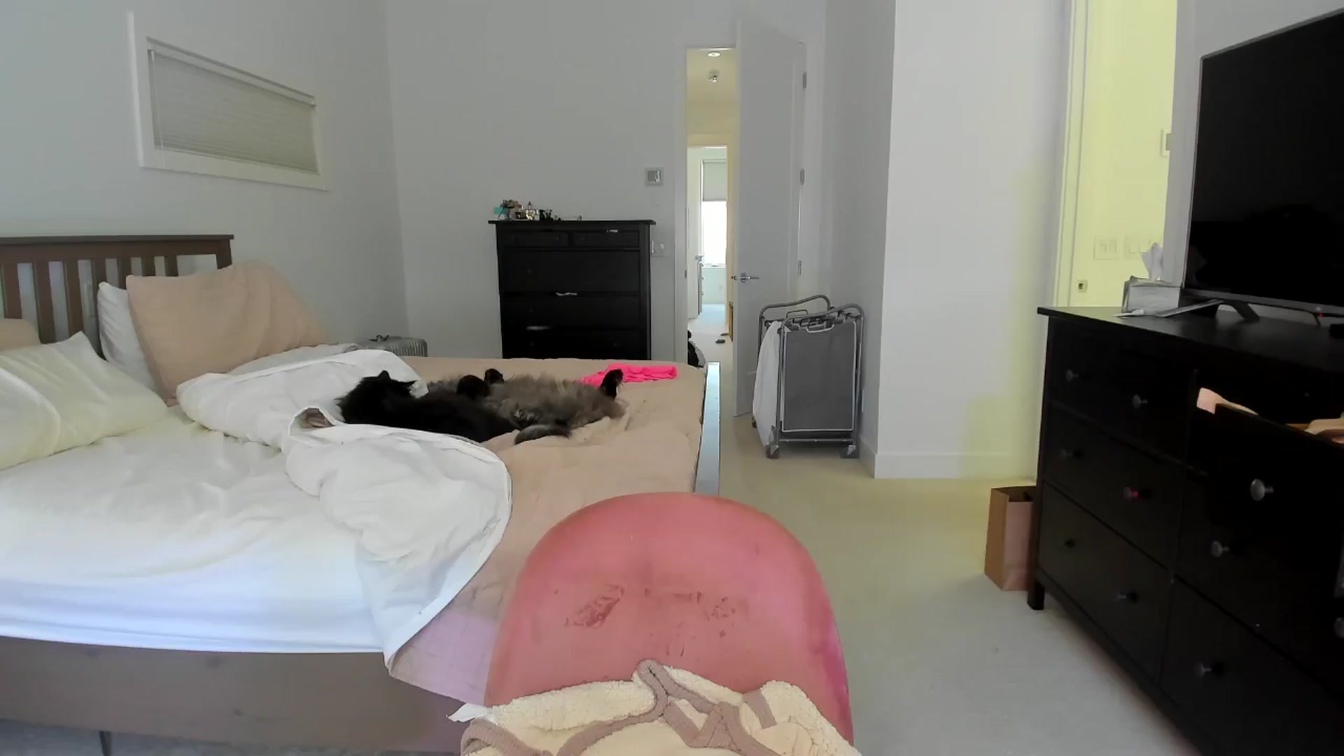 Gallery image thumbnail from Kymmmy's myfreecams stream on, 06/24/2024, 21:17 image 9 of 20