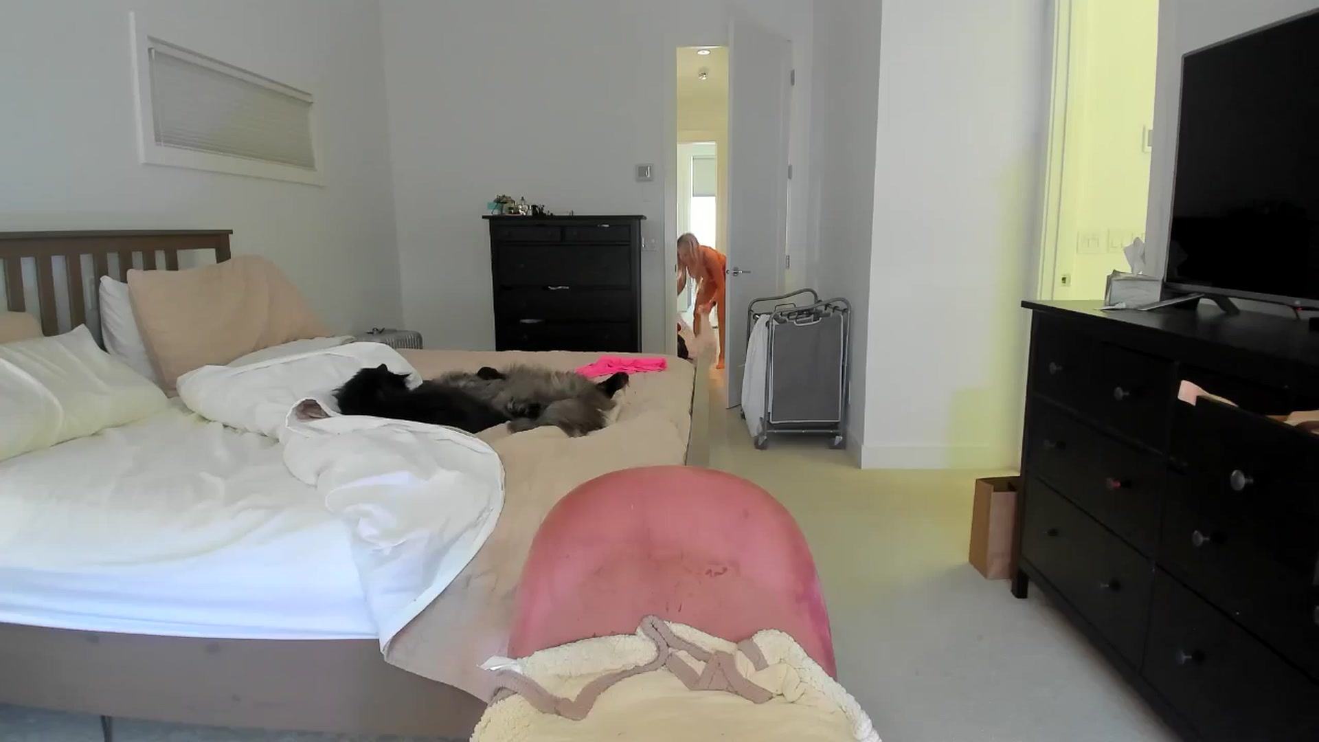 Gallery image thumbnail from Kymmmy's myfreecams stream on, 06/24/2024, 21:17 image 7 of 20