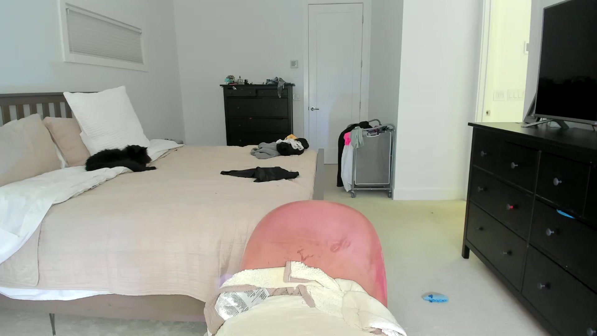 Gallery image thumbnail from Kymmmy's myfreecams stream on, 06/27/2024, 18:11 image 11 of 20