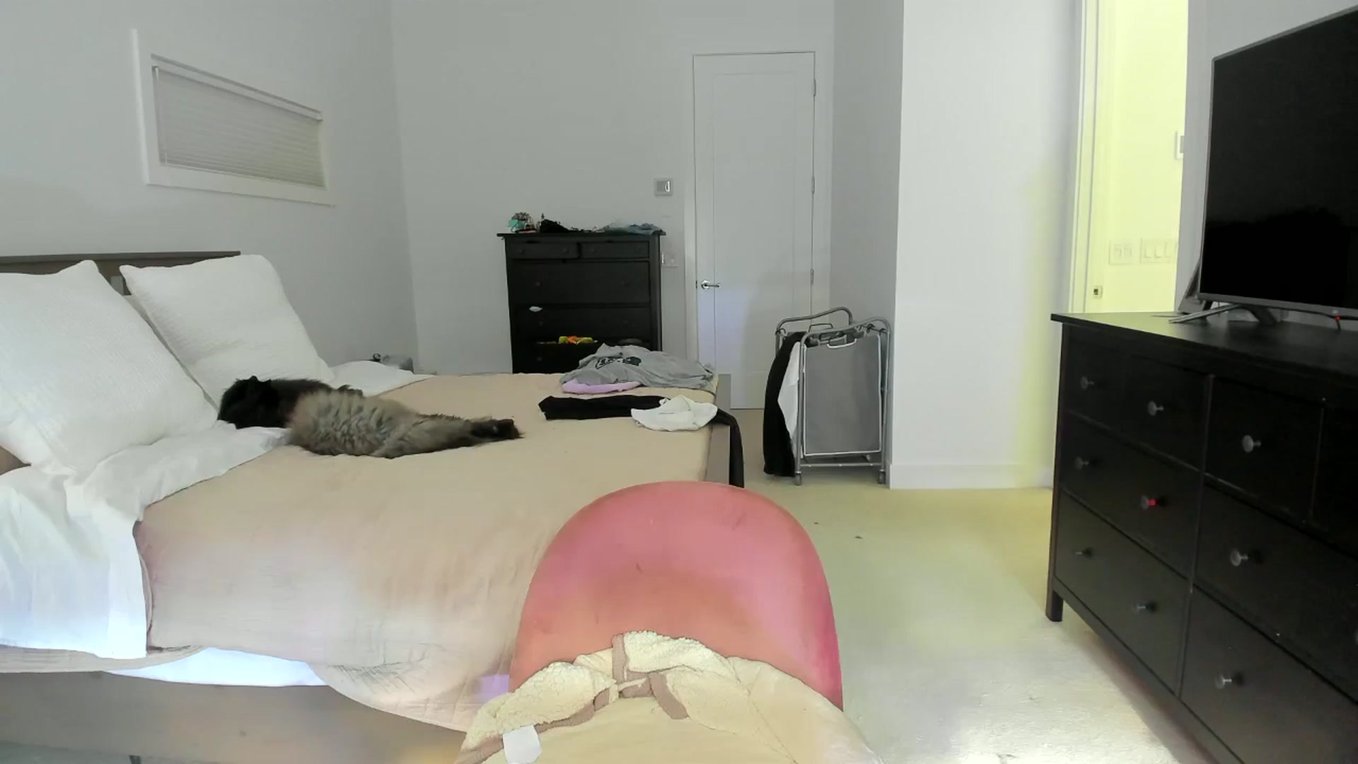 Gallery image thumbnail from Kymmmy's myfreecams stream on, 07/07/2024, 24:47 image 18 of 20